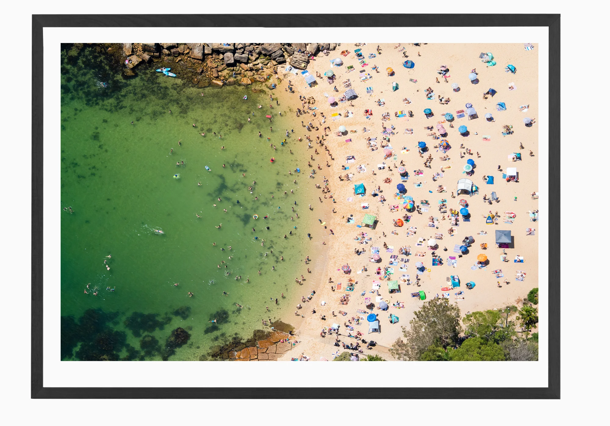 mfsprout_20190101-1938-Black-Frame.jpg