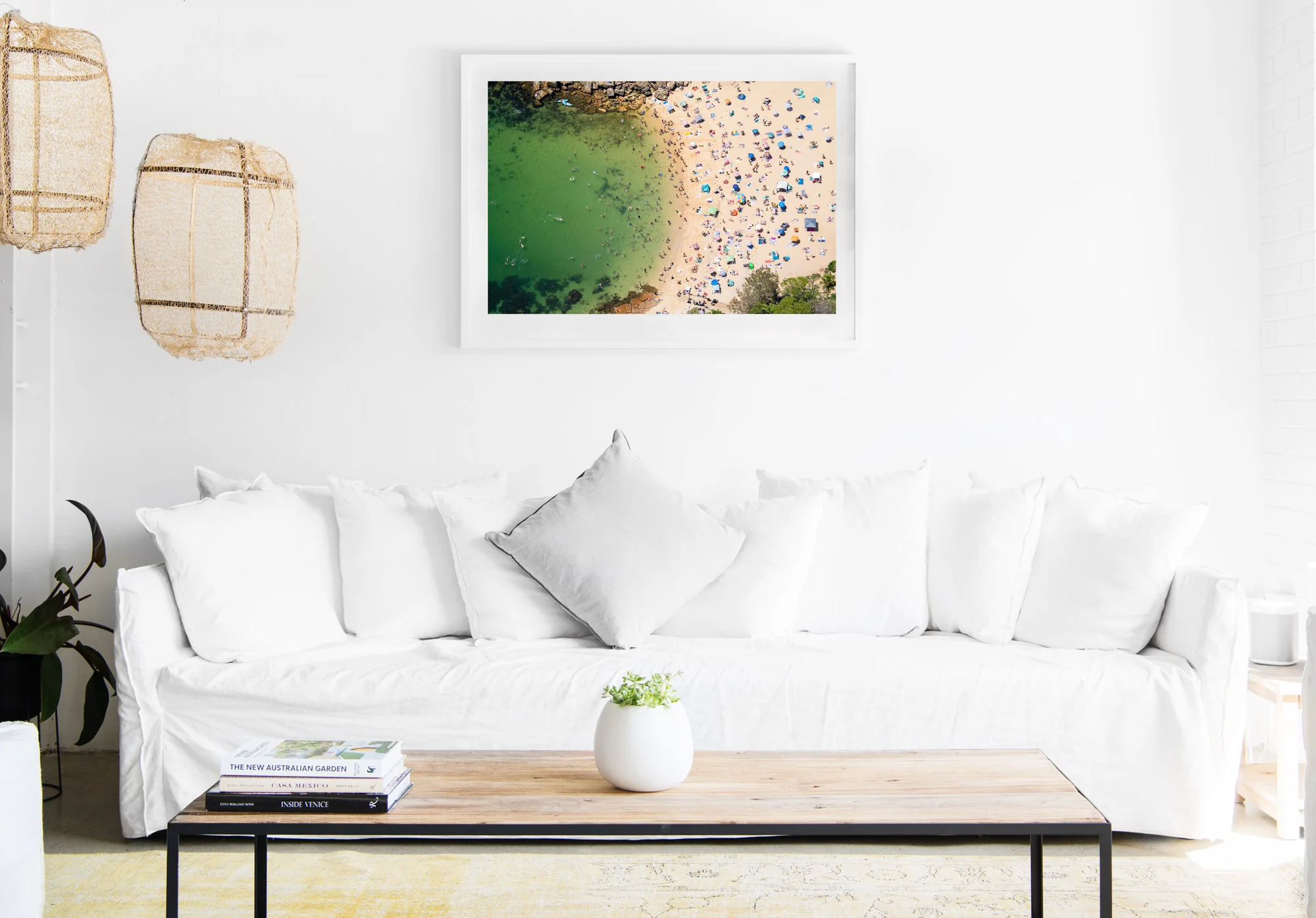 mfsprout_20190101-1938-Insitu.jpg