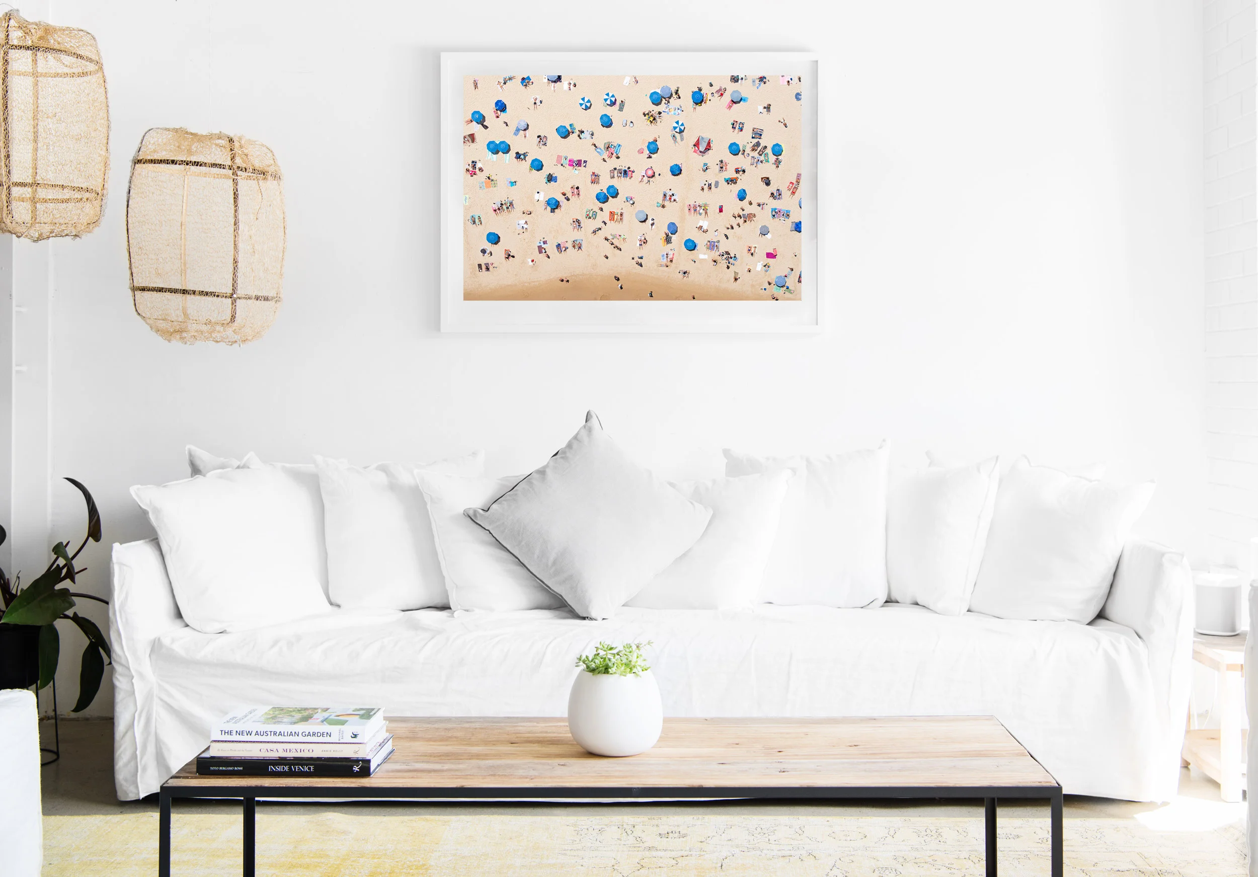 mfsprout_20190101-1689-insitu.jpg