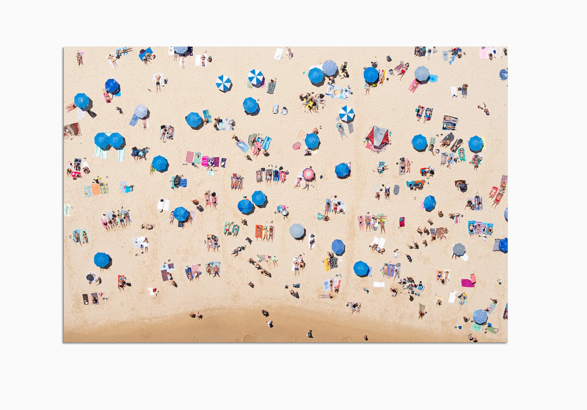 mfsprout_20190101-1689-Edit-2-Acrylic-Frame.jpg