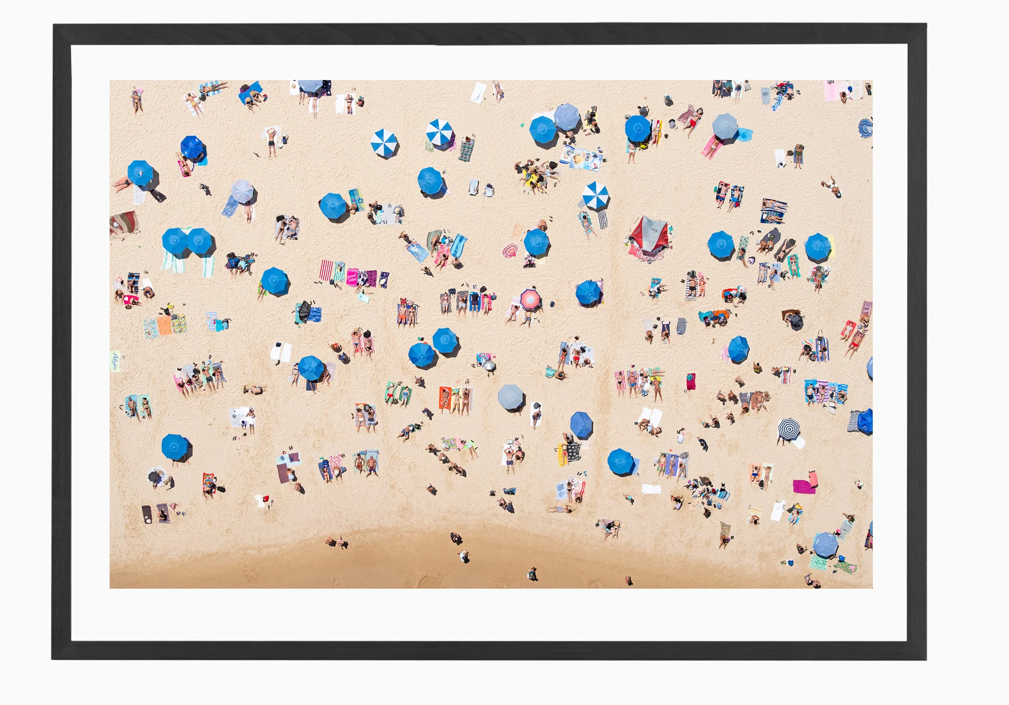 mfsprout_20190101-1689-Edit-2-Black-Frame.jpg