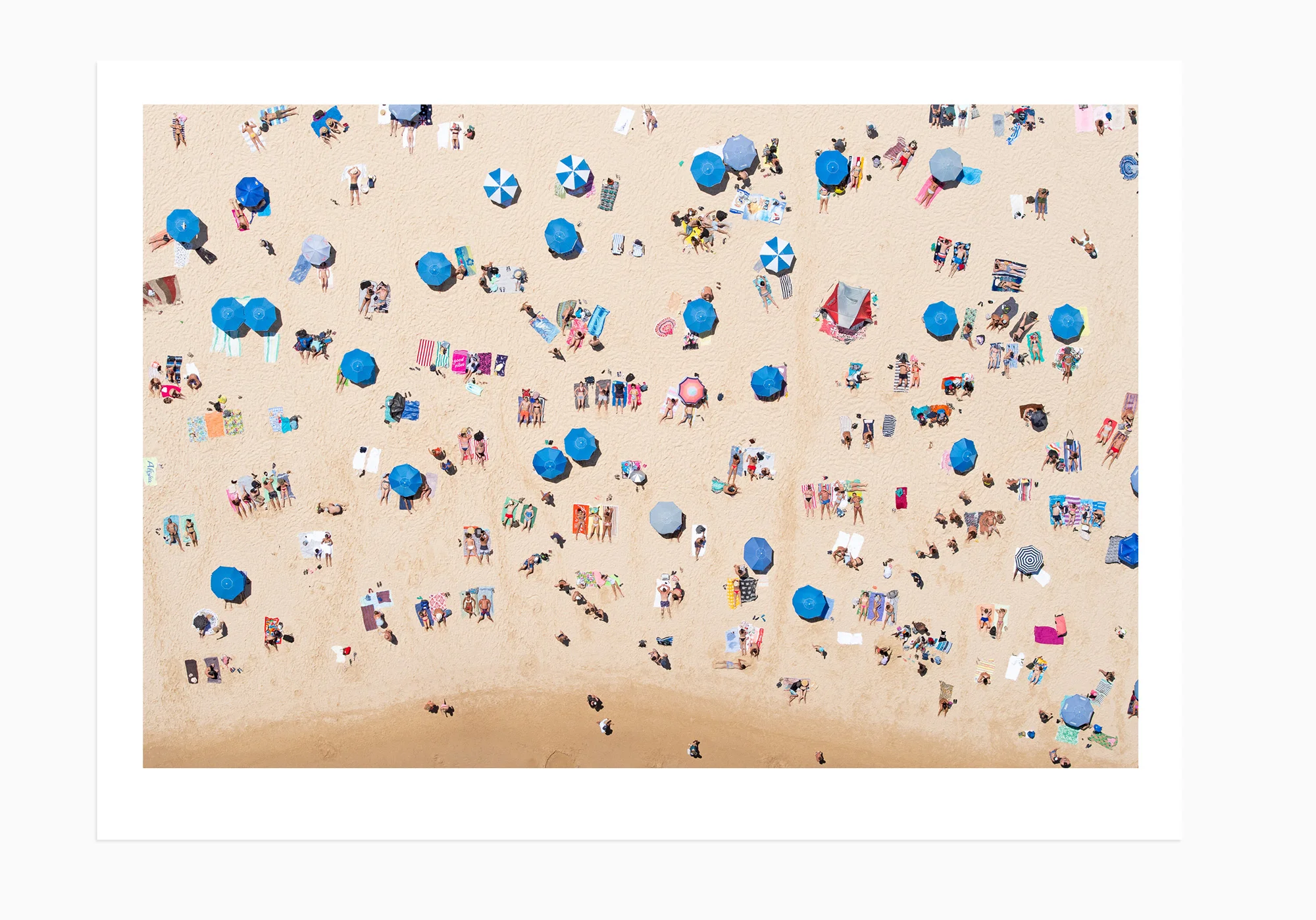 mfsprout_20190101-1689-Edit-2-Print.jpg