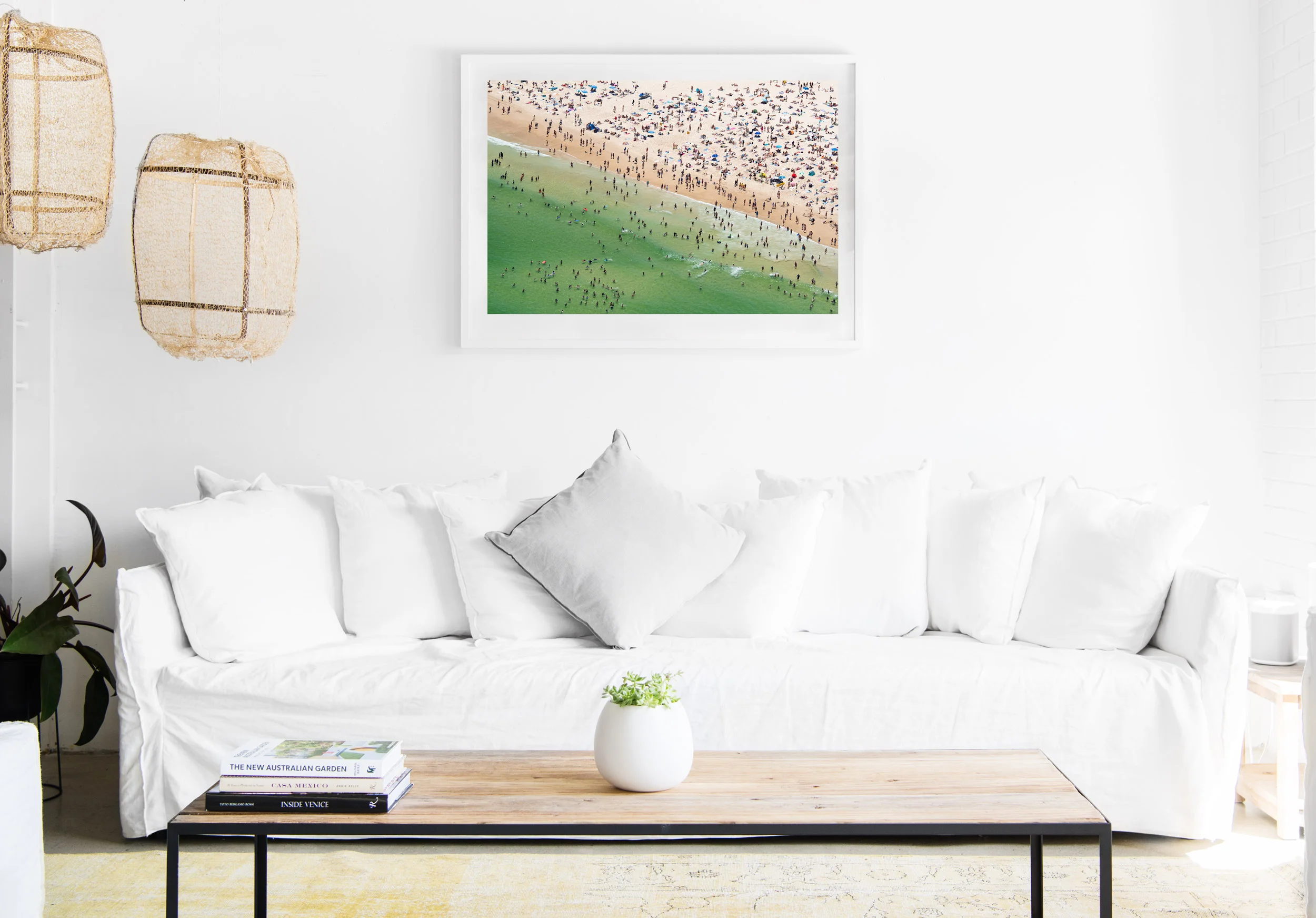 mfsprout_20190101-1453-insitu.jpg