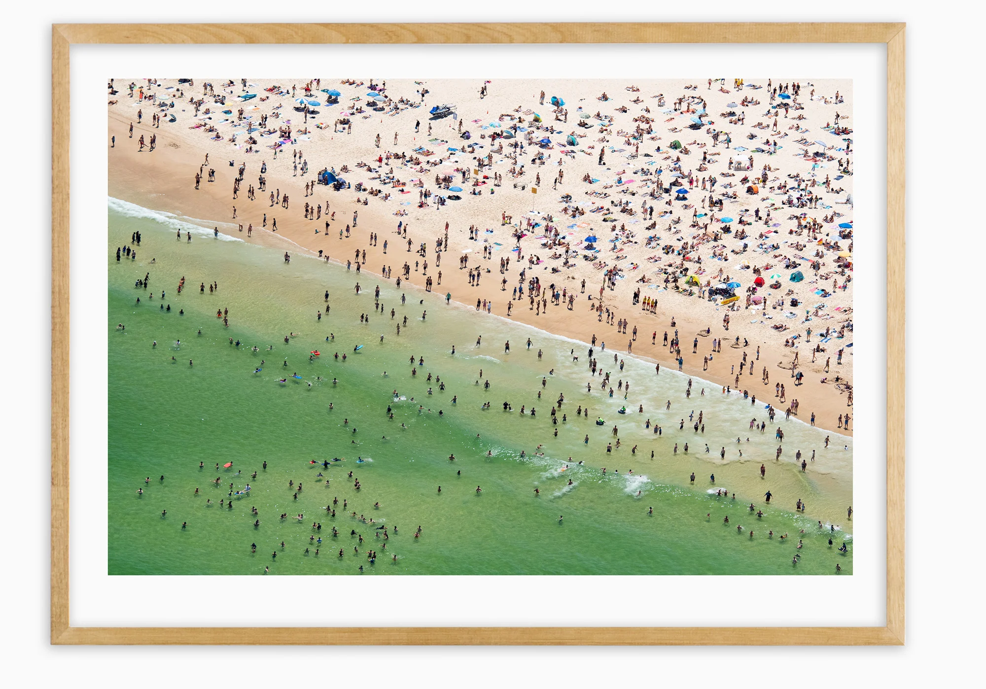 mfsprout_20190101-1453-Edit-2-Tassy-Oak-Frame.jpg
