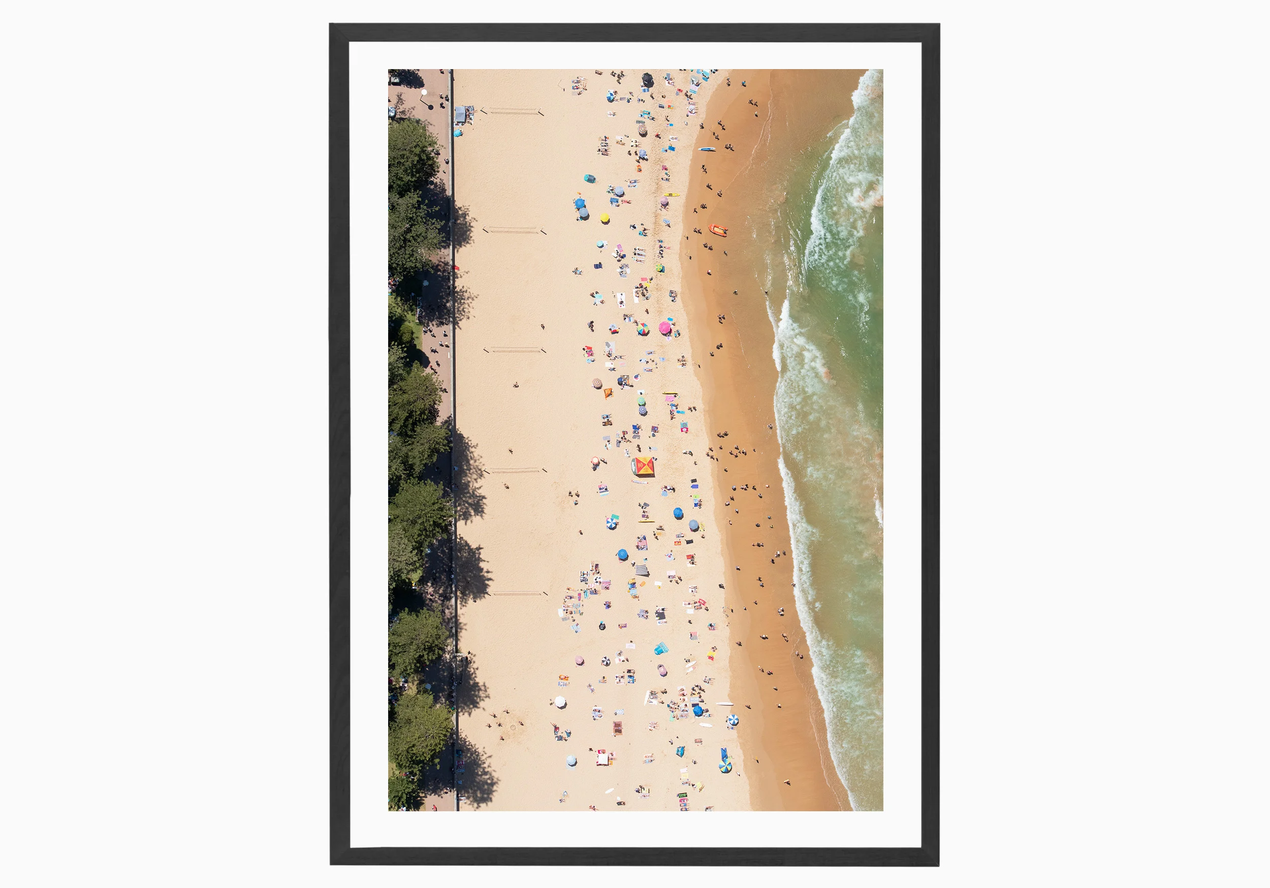 mfsprout_20190101-3014-blackframe.jpg