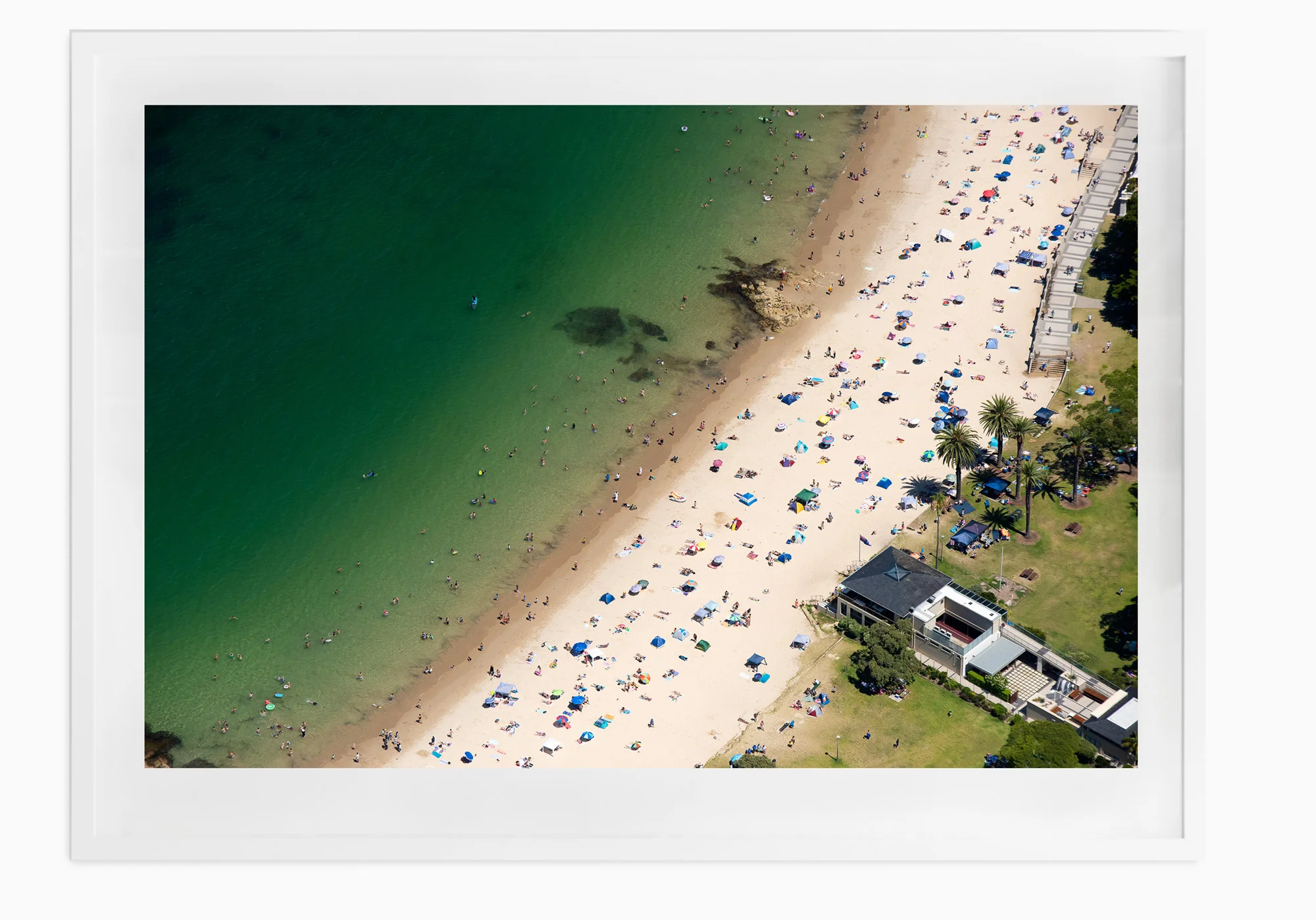 mfsprout_20190101-3734-White-Frame.jpg