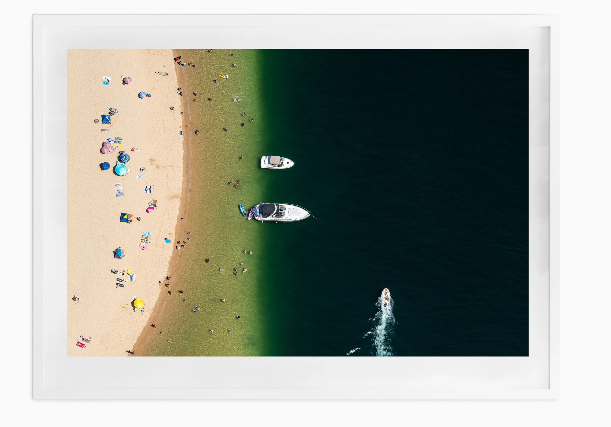 mfsprout_20190101-3588-White-Frame.jpg