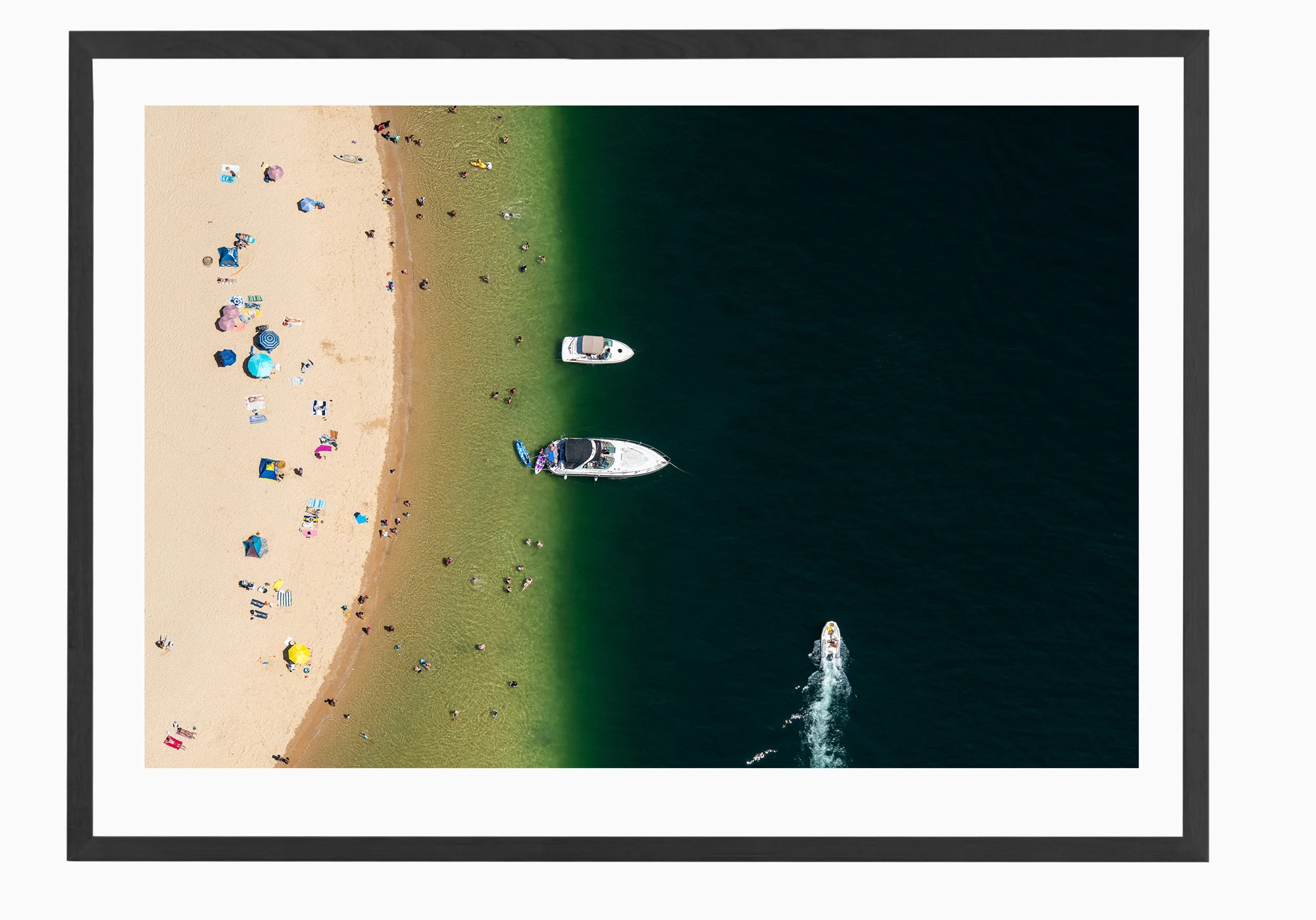 mfsprout_20190101-3588-Black-Frame.jpg