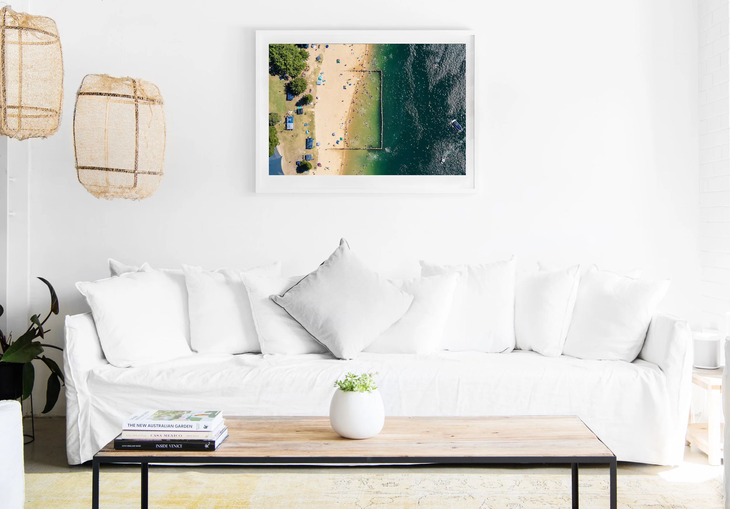 mfsprout_20190101-3620-insitu.jpg