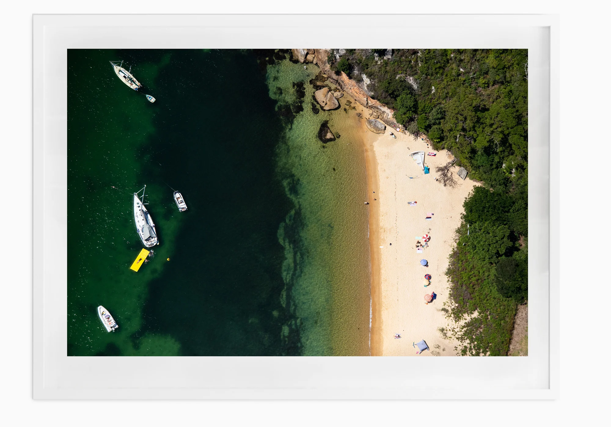 mfsprout_20190101-3812-White-Frame.jpg