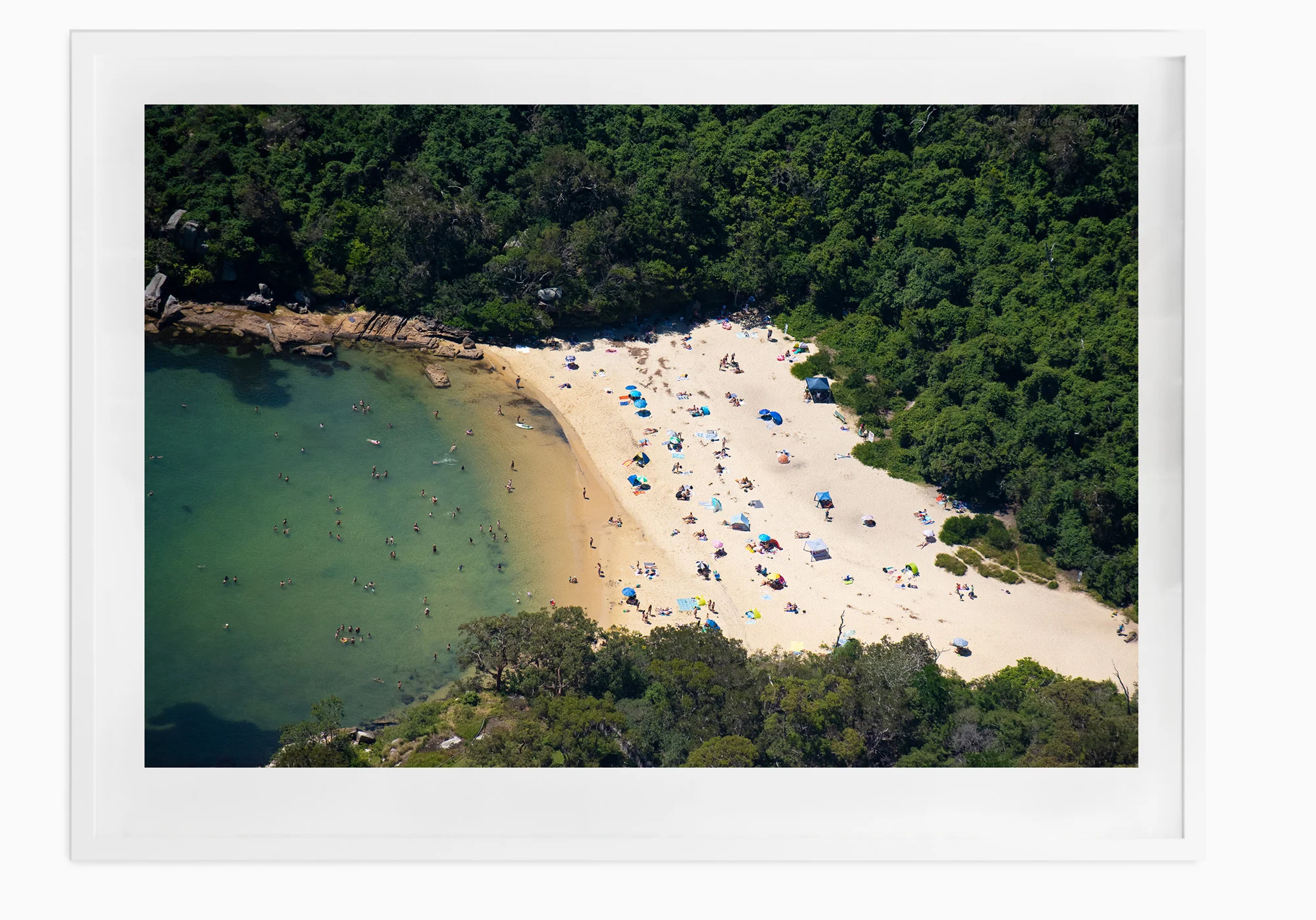 mfsprout_20190101-3822-White-Frame.jpg