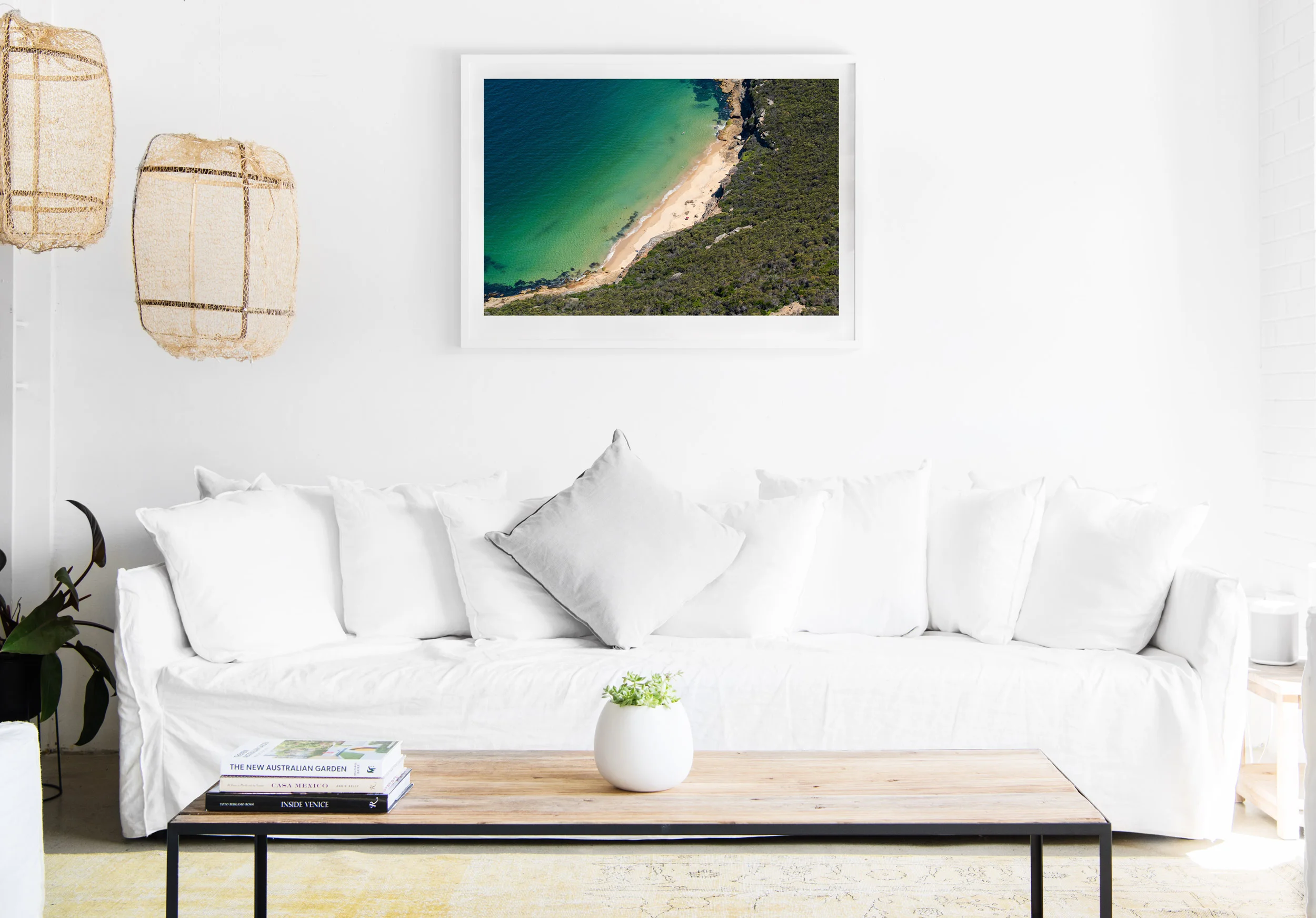 mfsprout_20190101-3487-insitu.jpg