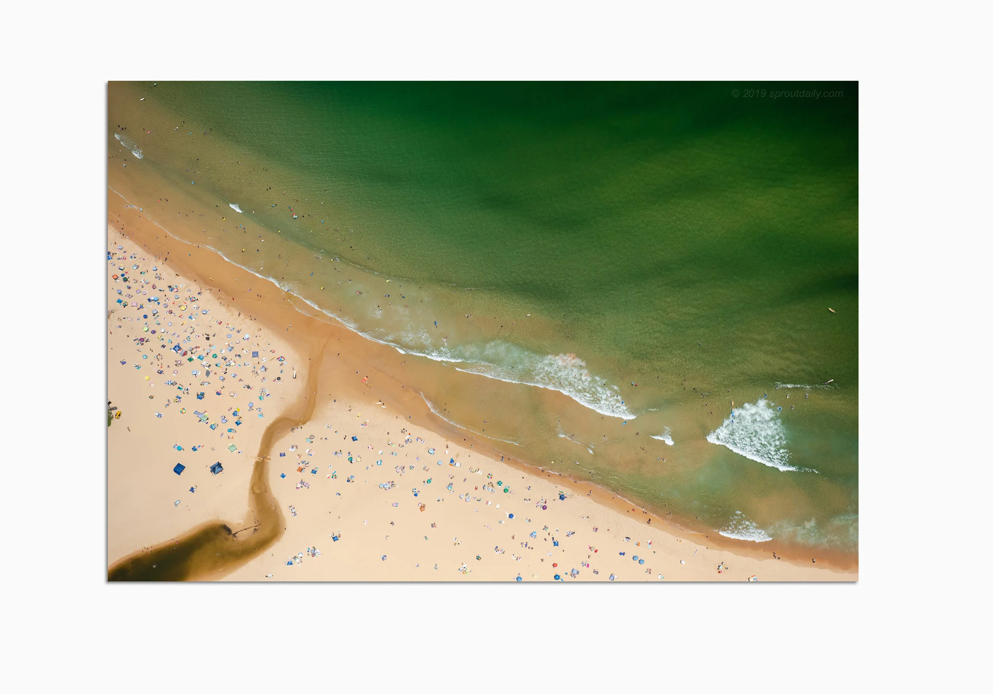 mfsprout_20190101-2807-Acrylic-Frame.jpg