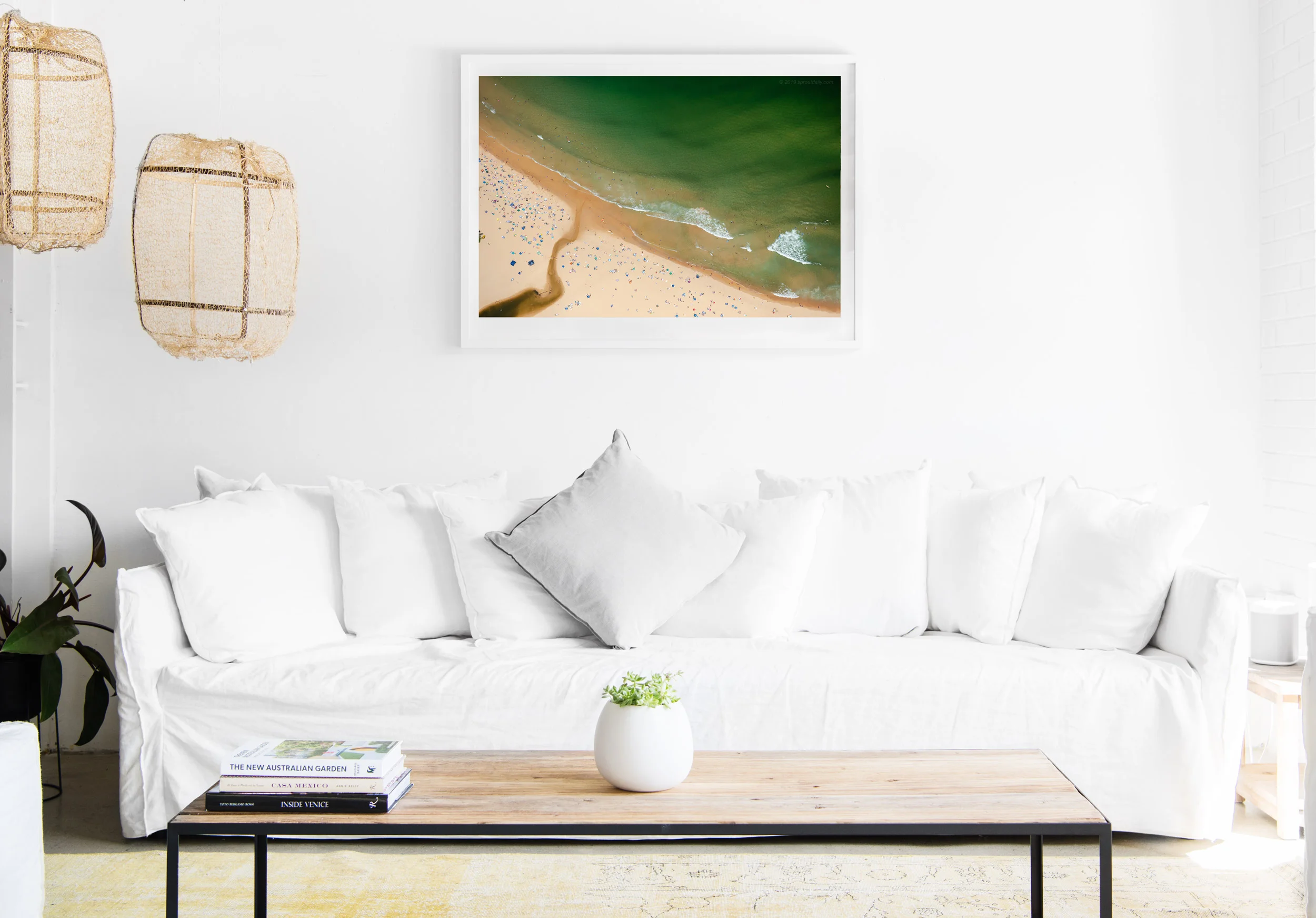 mfsprout_20190101-2807-insitu.jpg