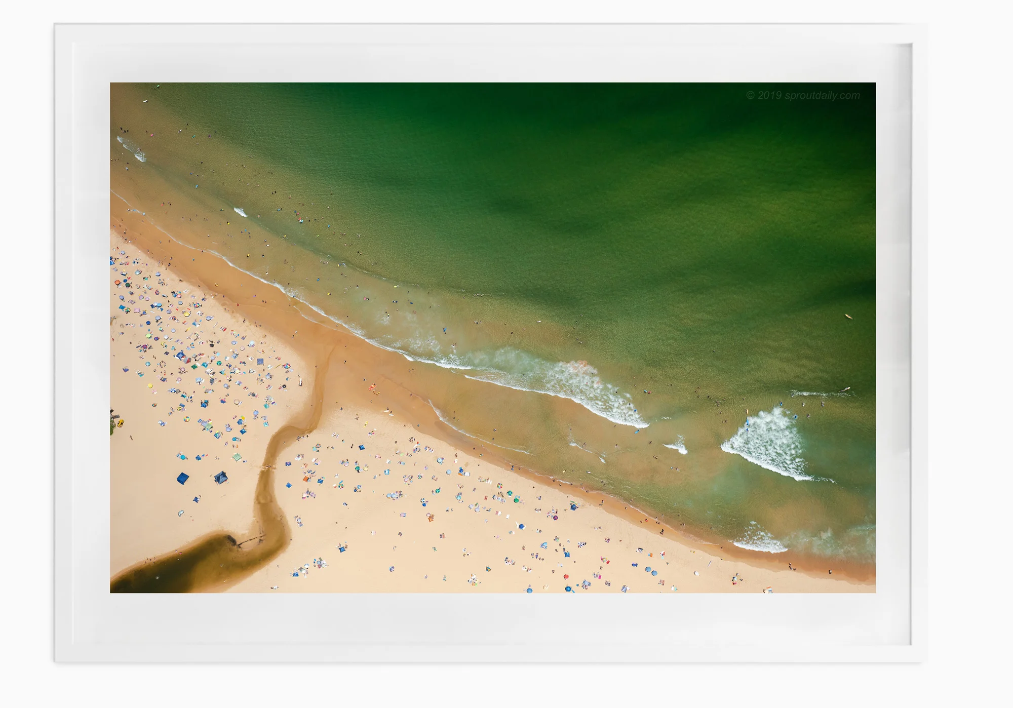 mfsprout_20190101-2807-White-Frame.jpg
