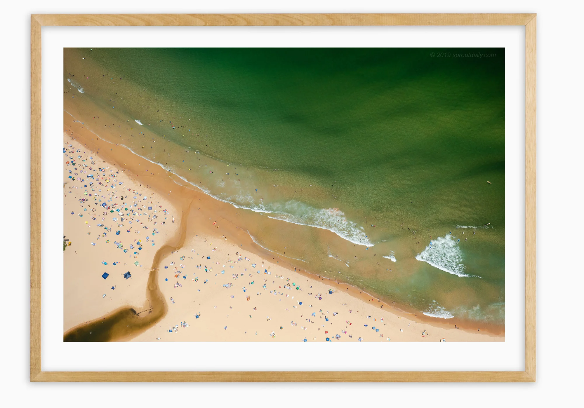mfsprout_20190101-2807-Tassy-Oak-Frame.jpg