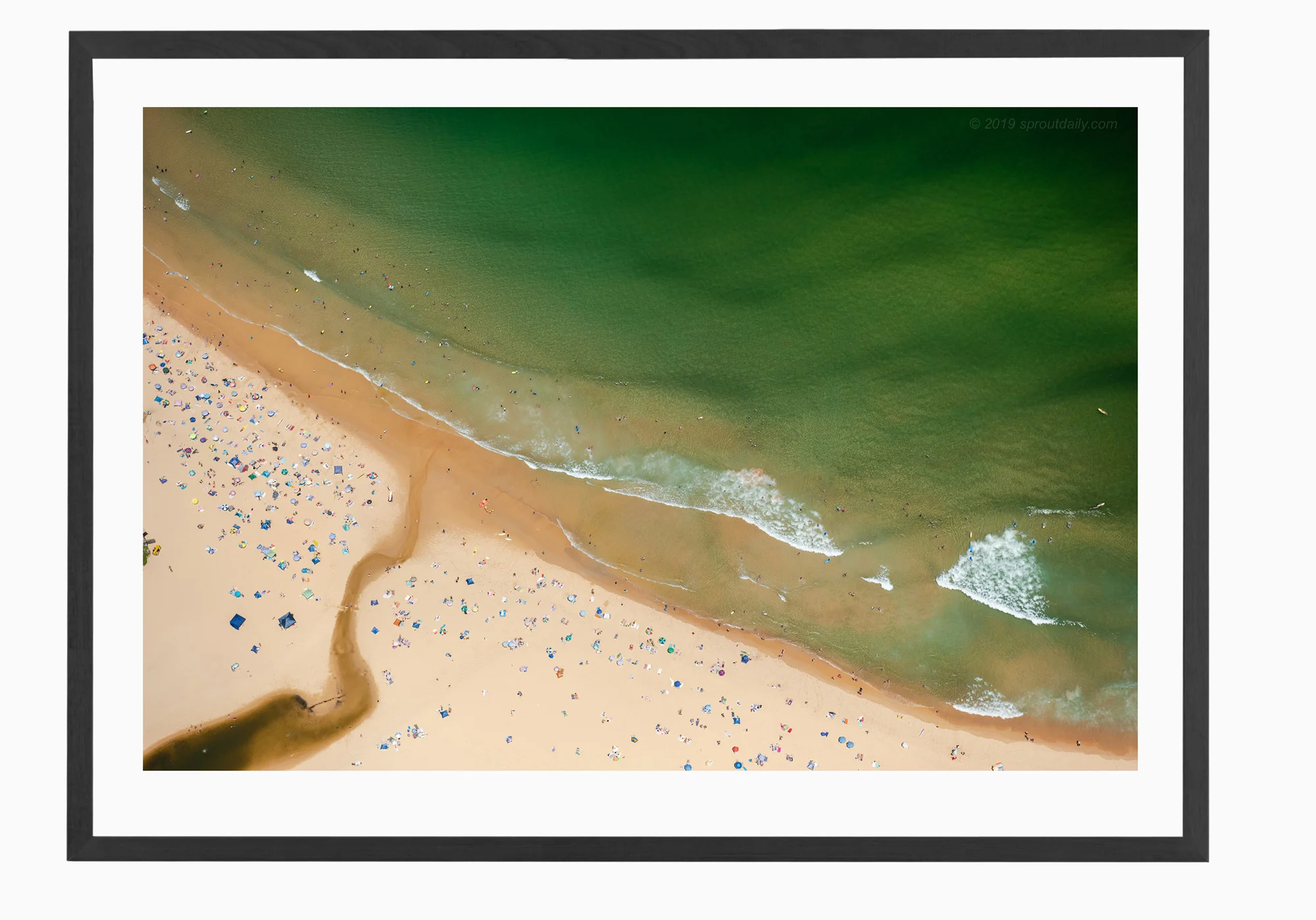mfsprout_20190101-2807-Black-Frame.jpg