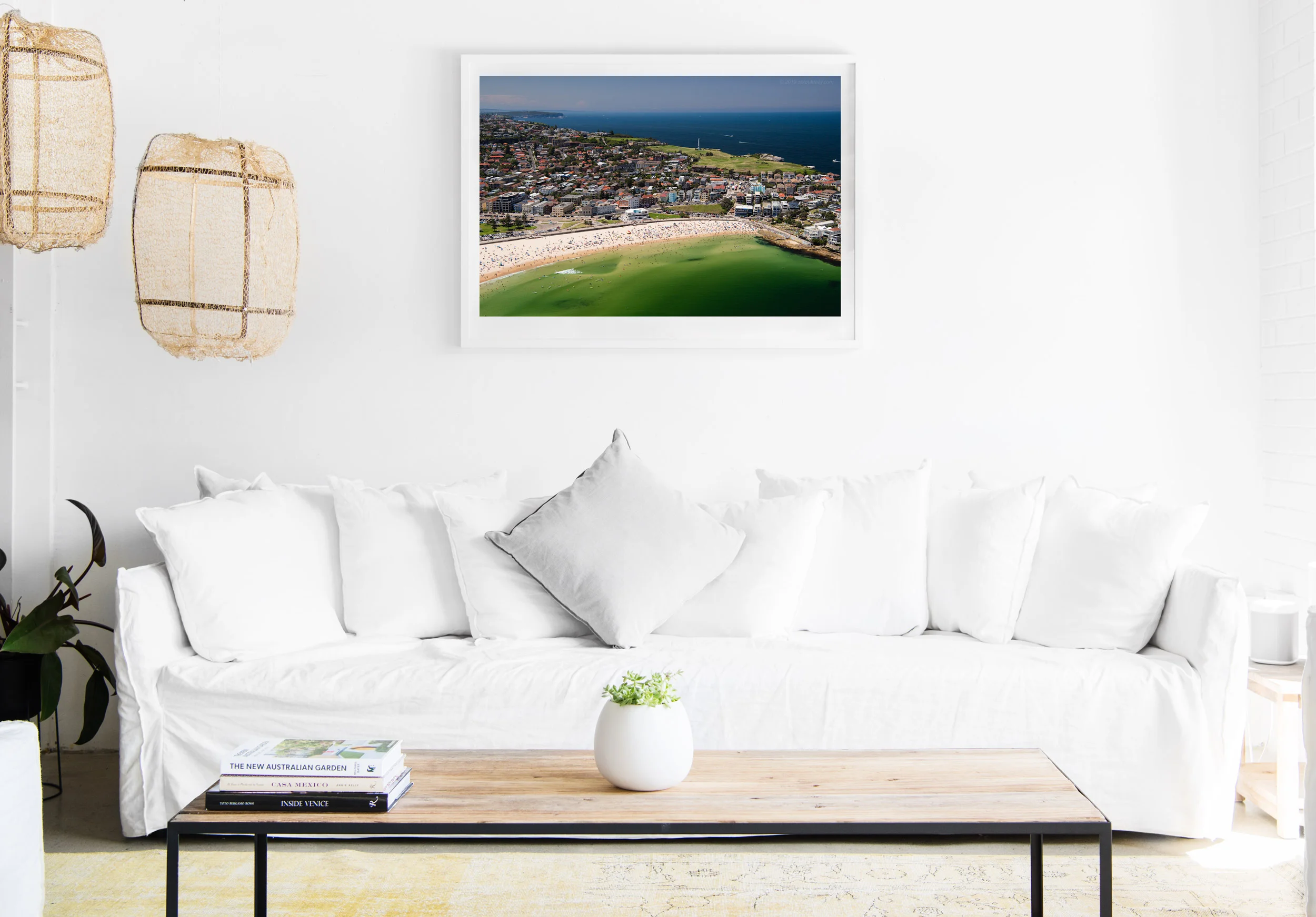 mfsprout_20190101-1738-insitu.jpg