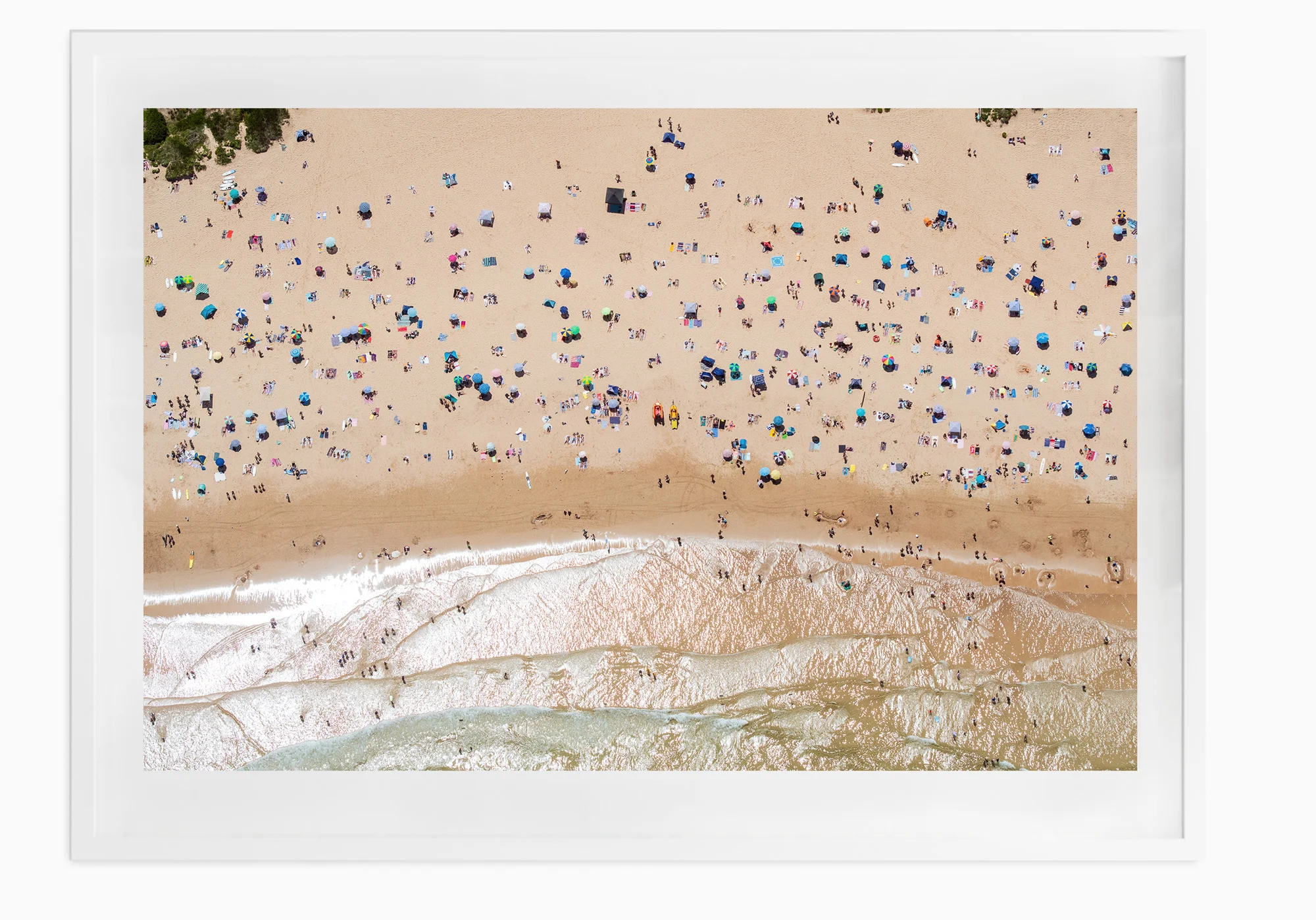 mfsprout_20190101-2560-White-Frame.jpg