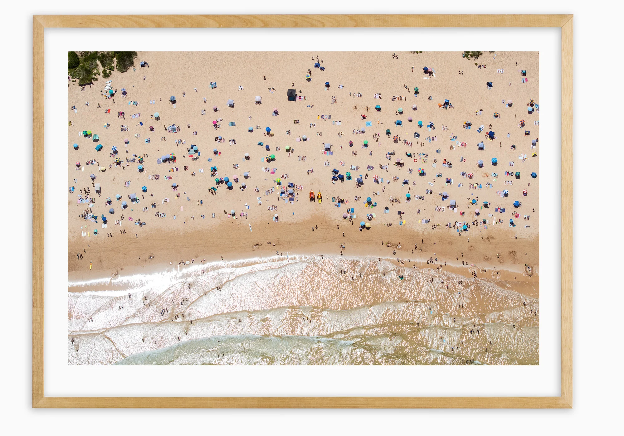 mfsprout_20190101-2560-Tassy-Oak-Frame.jpg