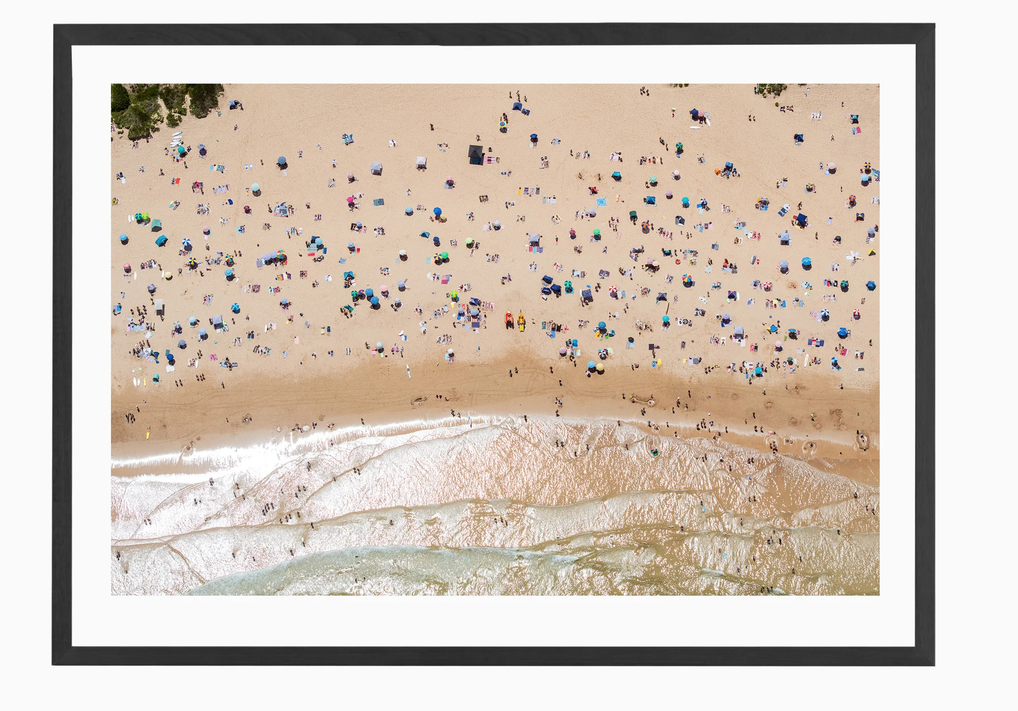 mfsprout_20190101-2560-Black-Frame.jpg