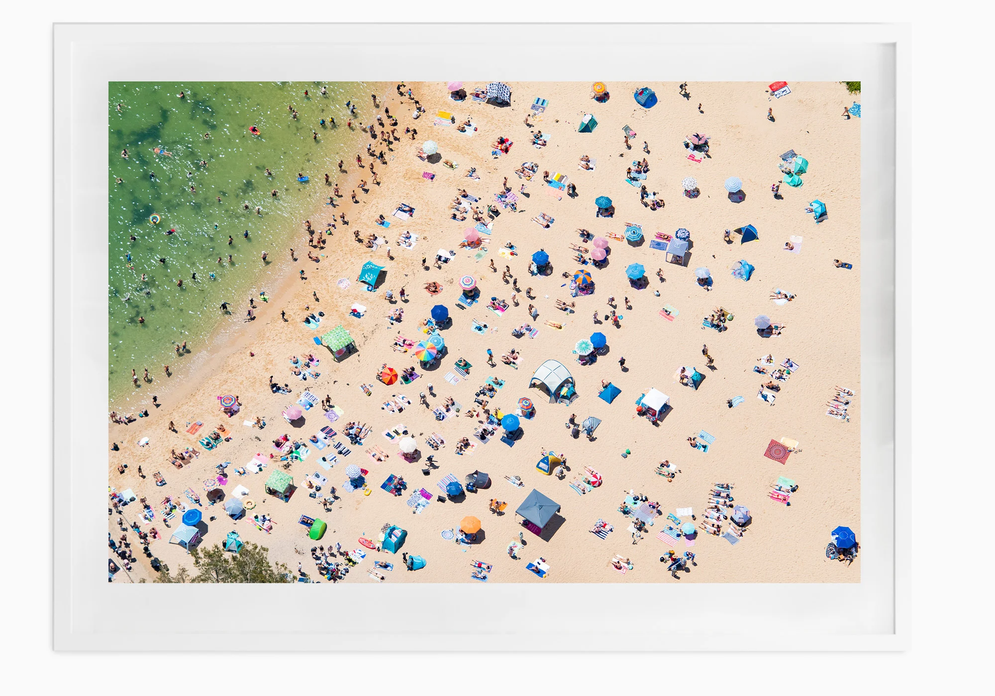 mfsprout_20190101-1950-White-Frame.jpg