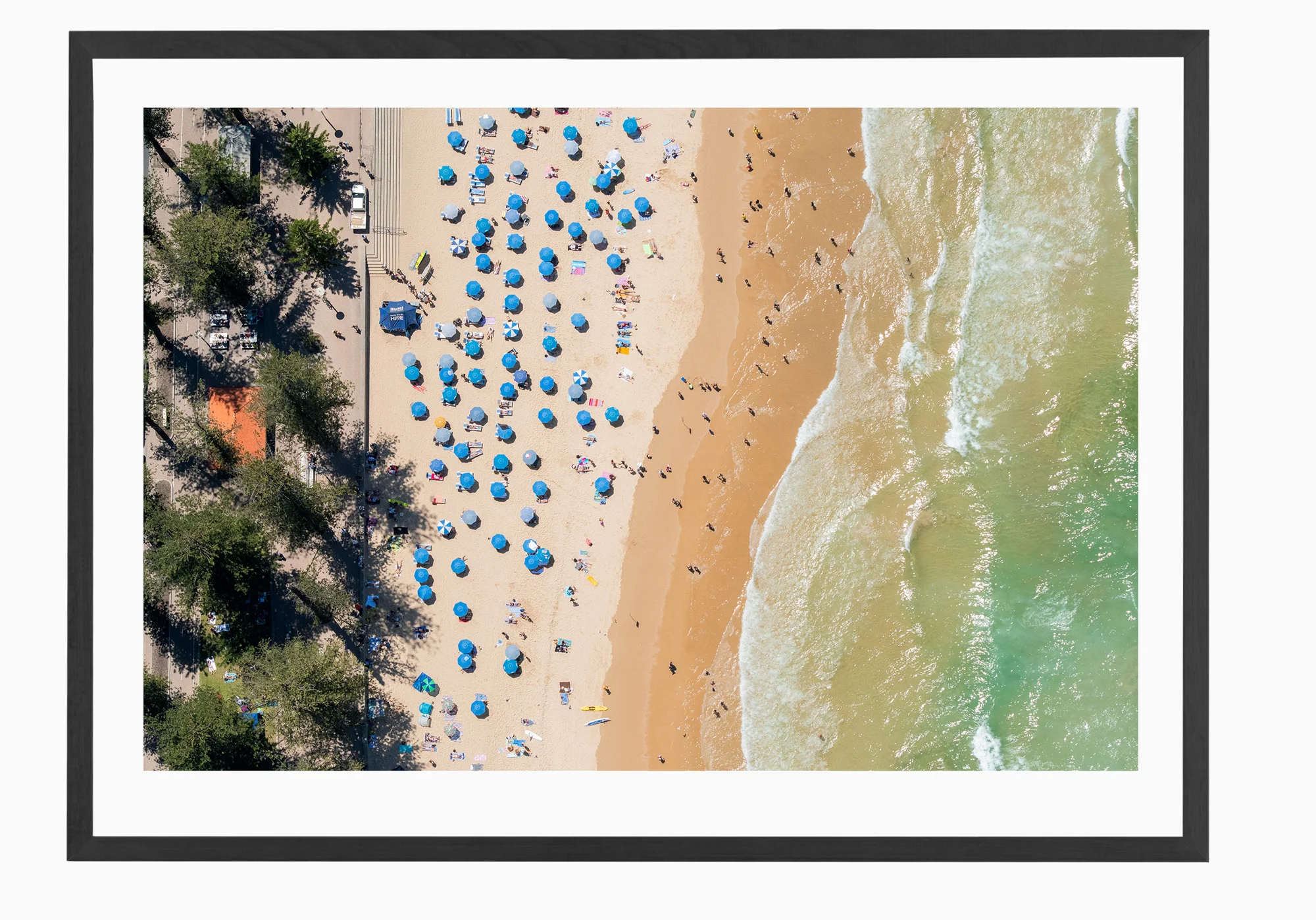 mfsprout_20190101-3149-Black-Frame.jpg
