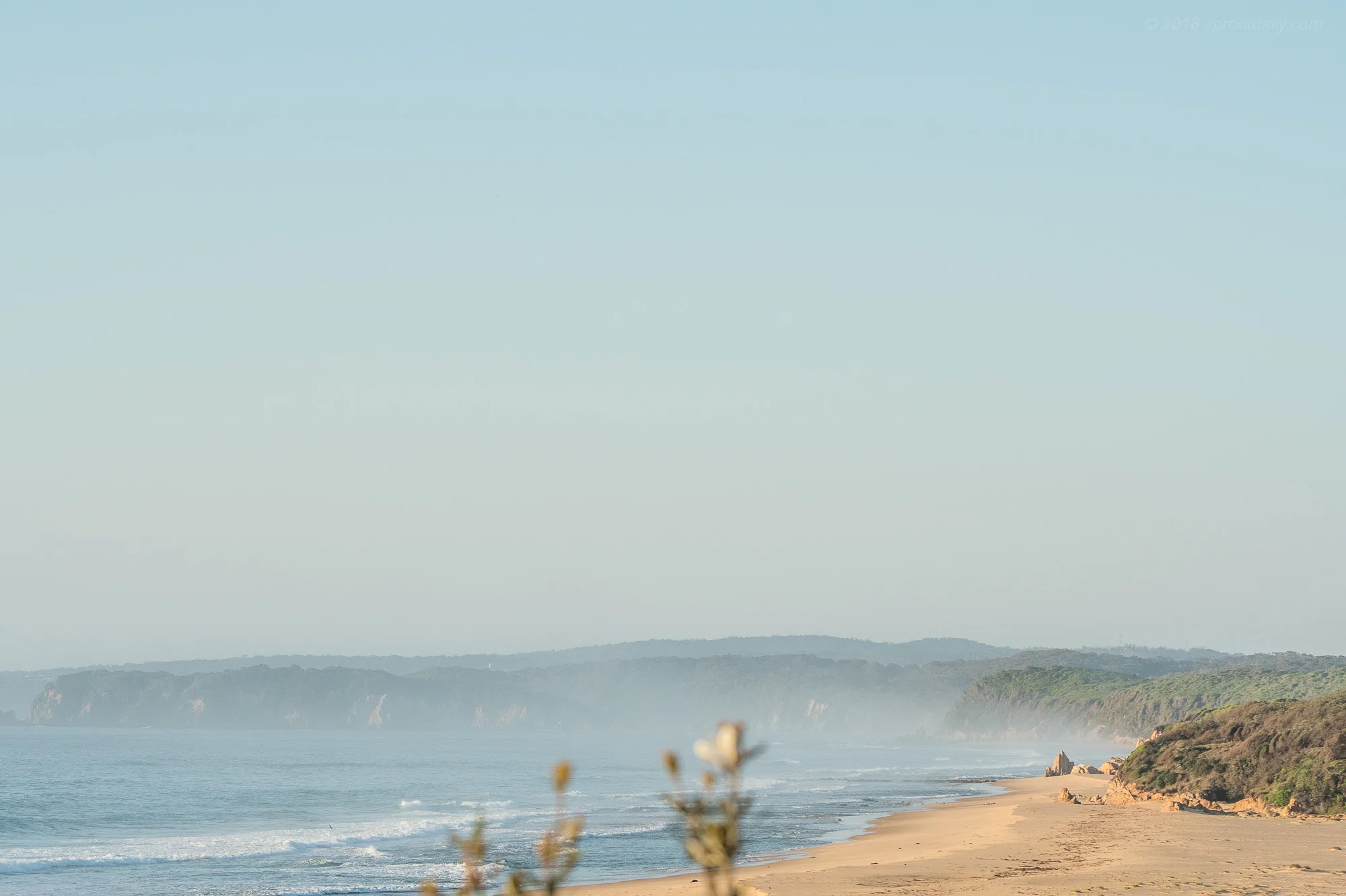 South Coast Landscape