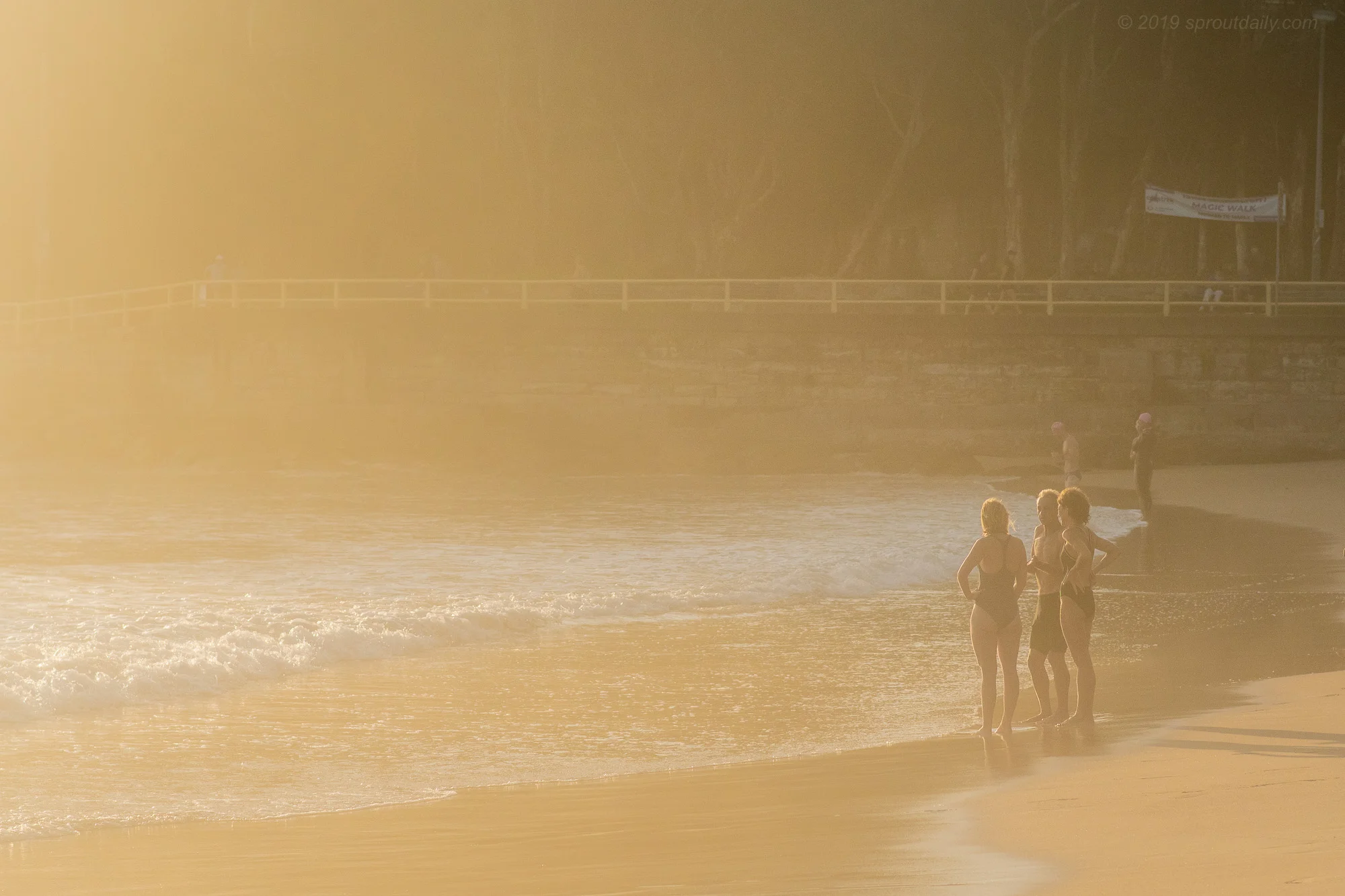 Summer Dawn Light - South Steyne
