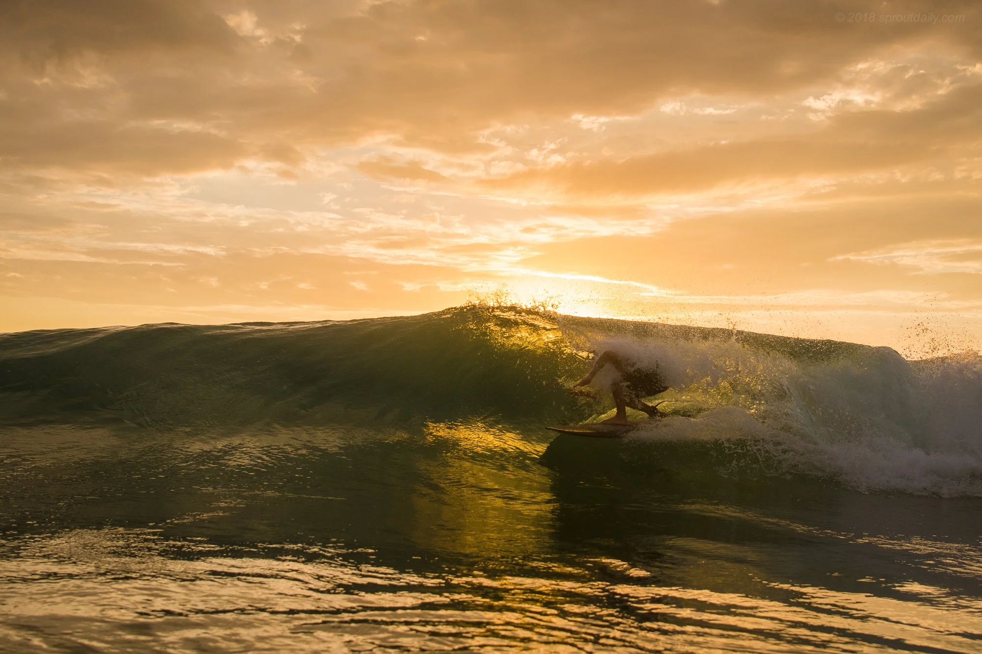 Backlit & Covered