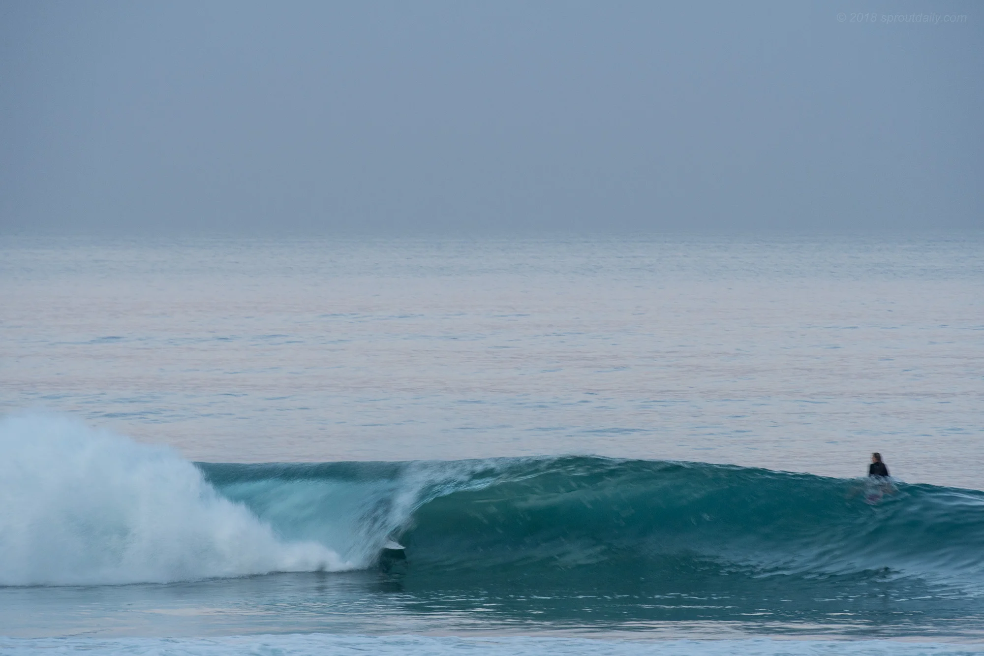 Alex Mac hiding out in a slice of perfection