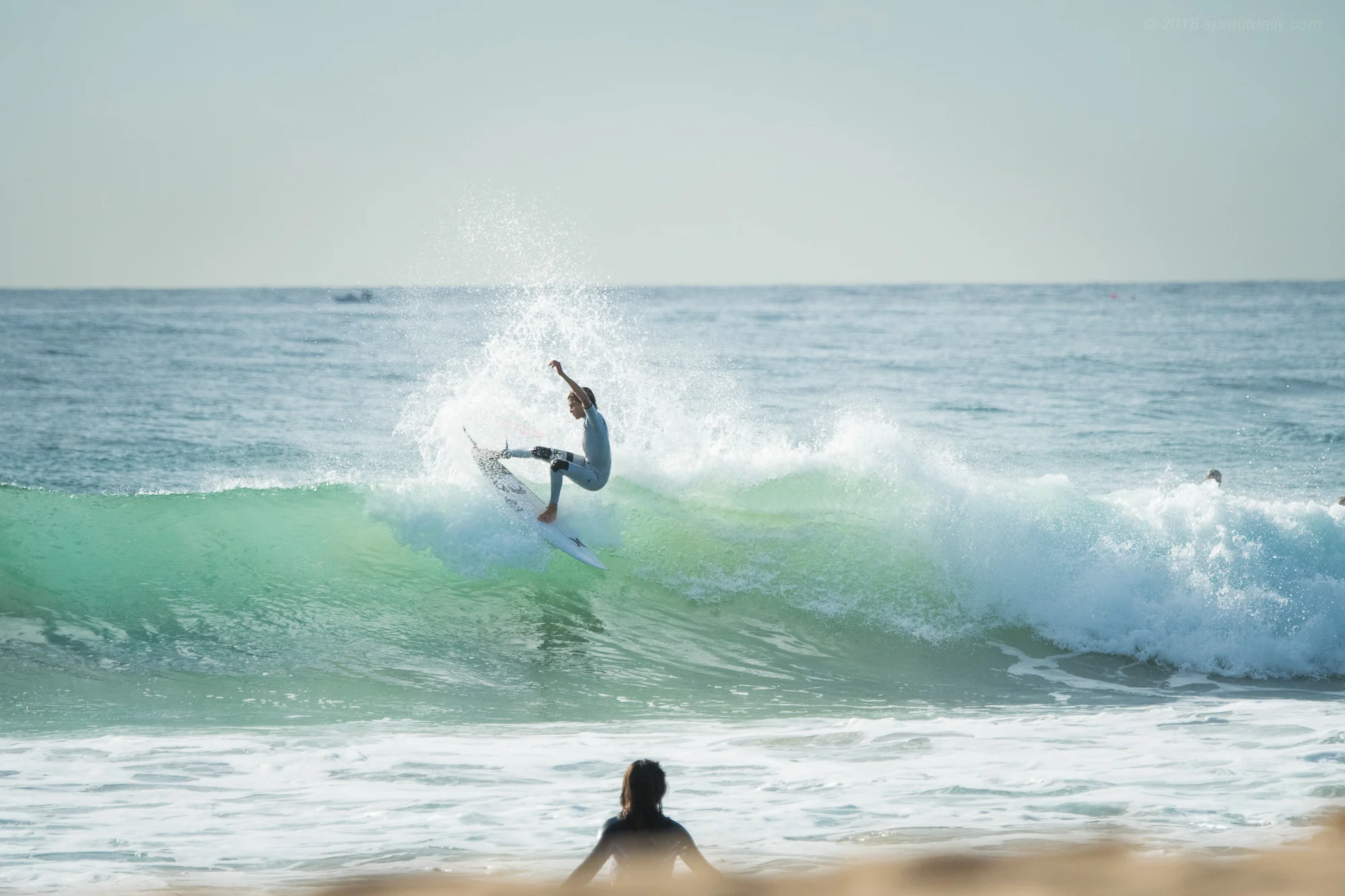 Winter freeing the fins