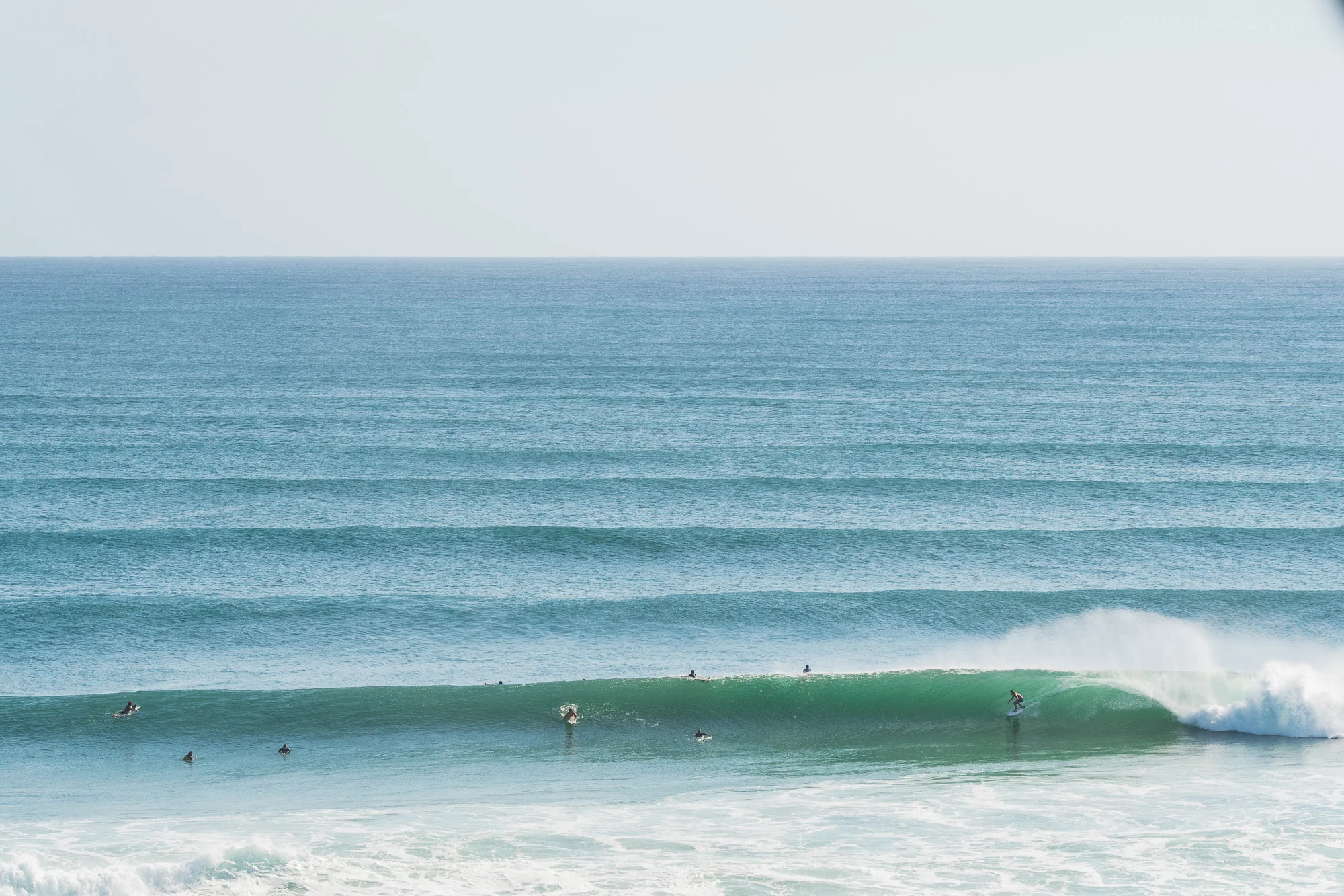 Kirra Lines
