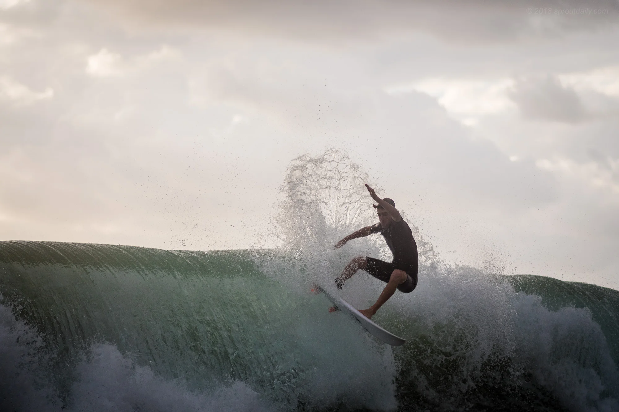 Fin Grip