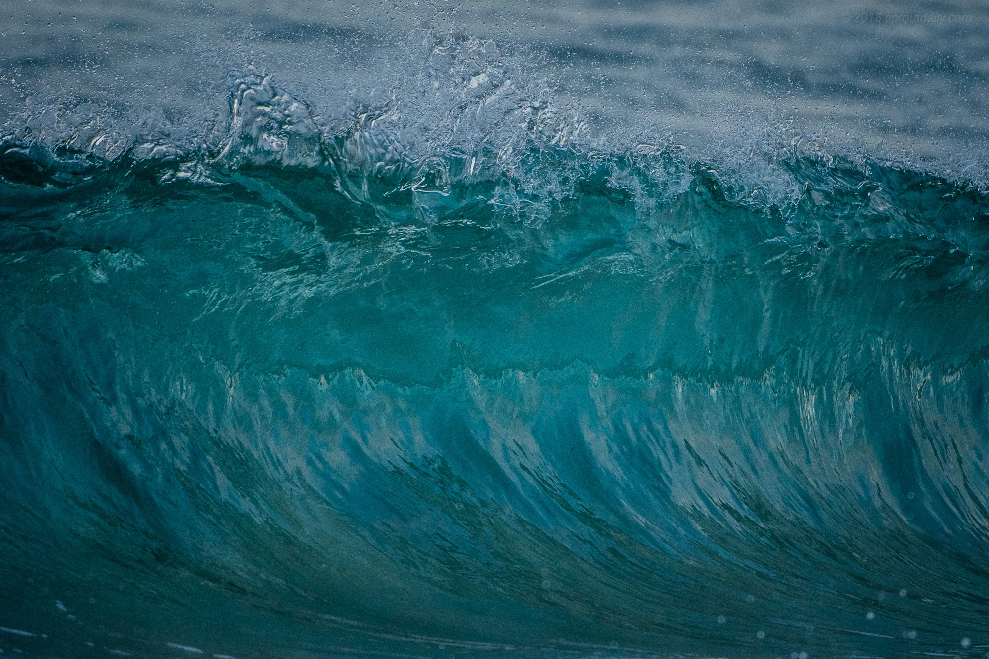 Shorey Sculpture