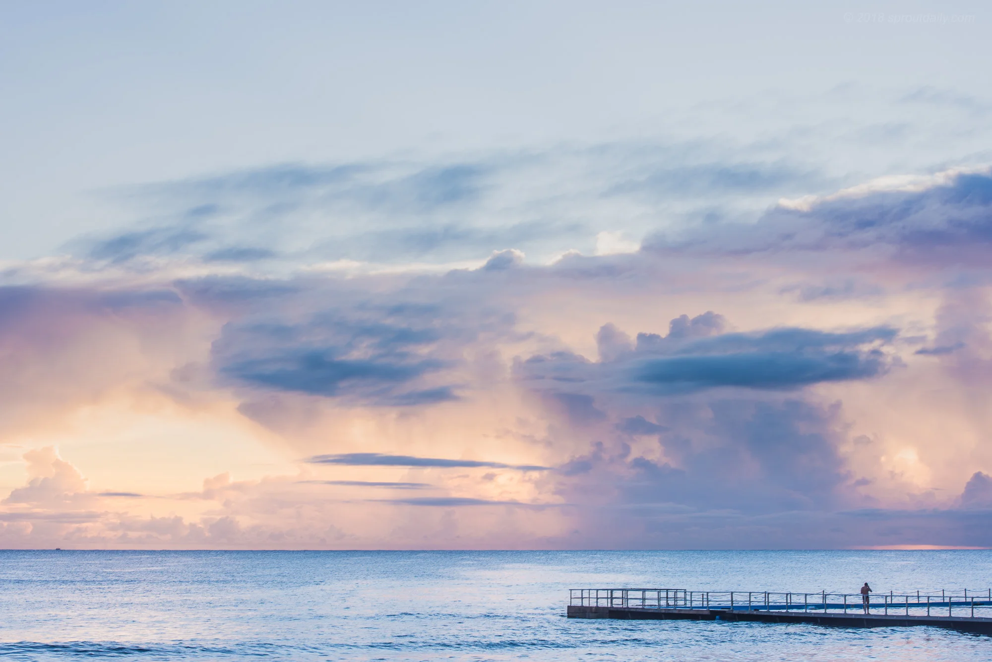 Collaroy Pool Puffs