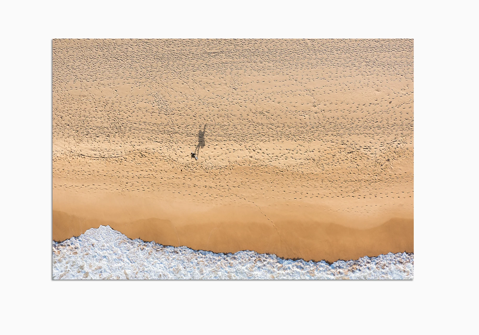 mfsprout_20181203_417-Acrylic-Frame.jpg