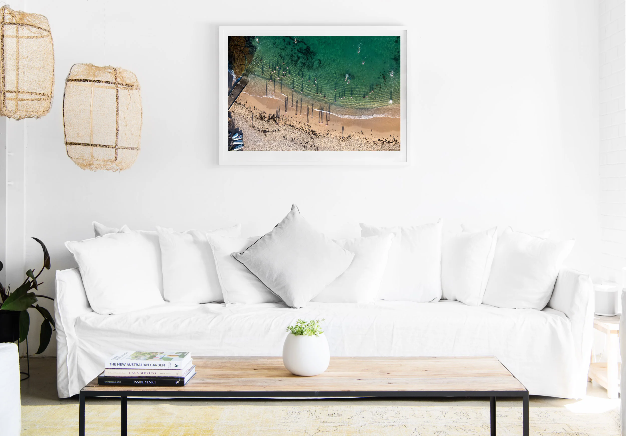 mfsprout_20181203_1191-insitu.jpg