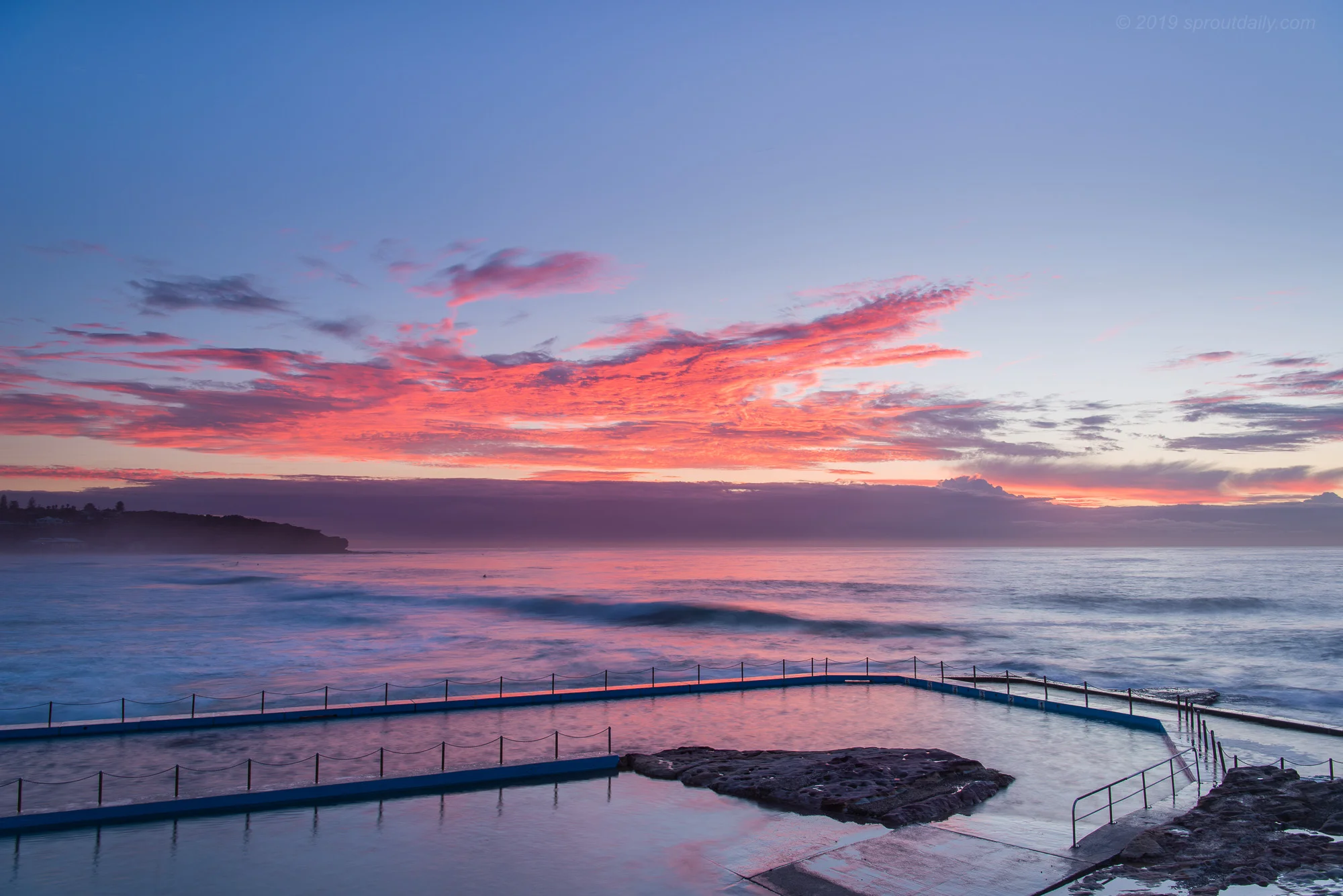 Curly Pool