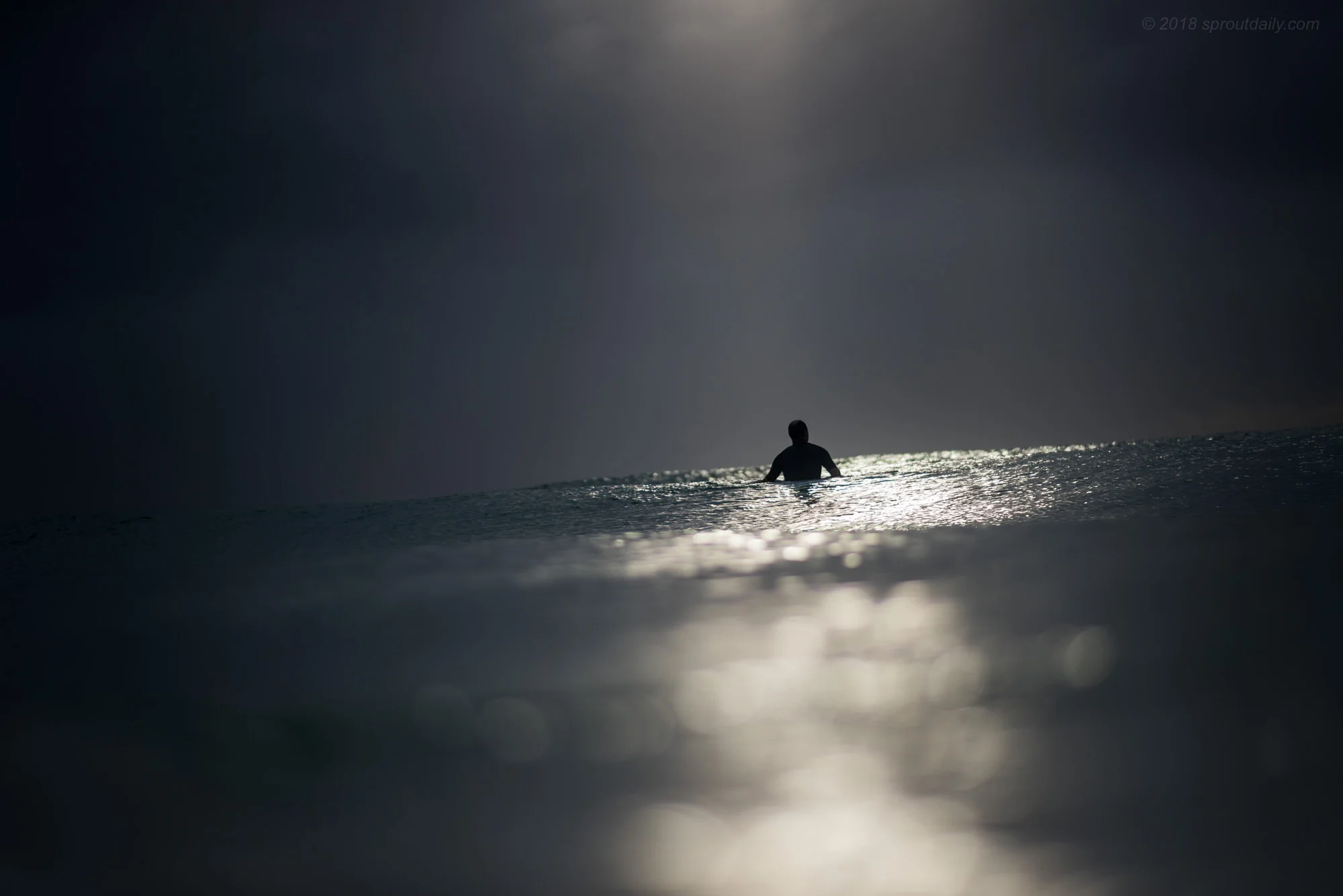 Spotlight