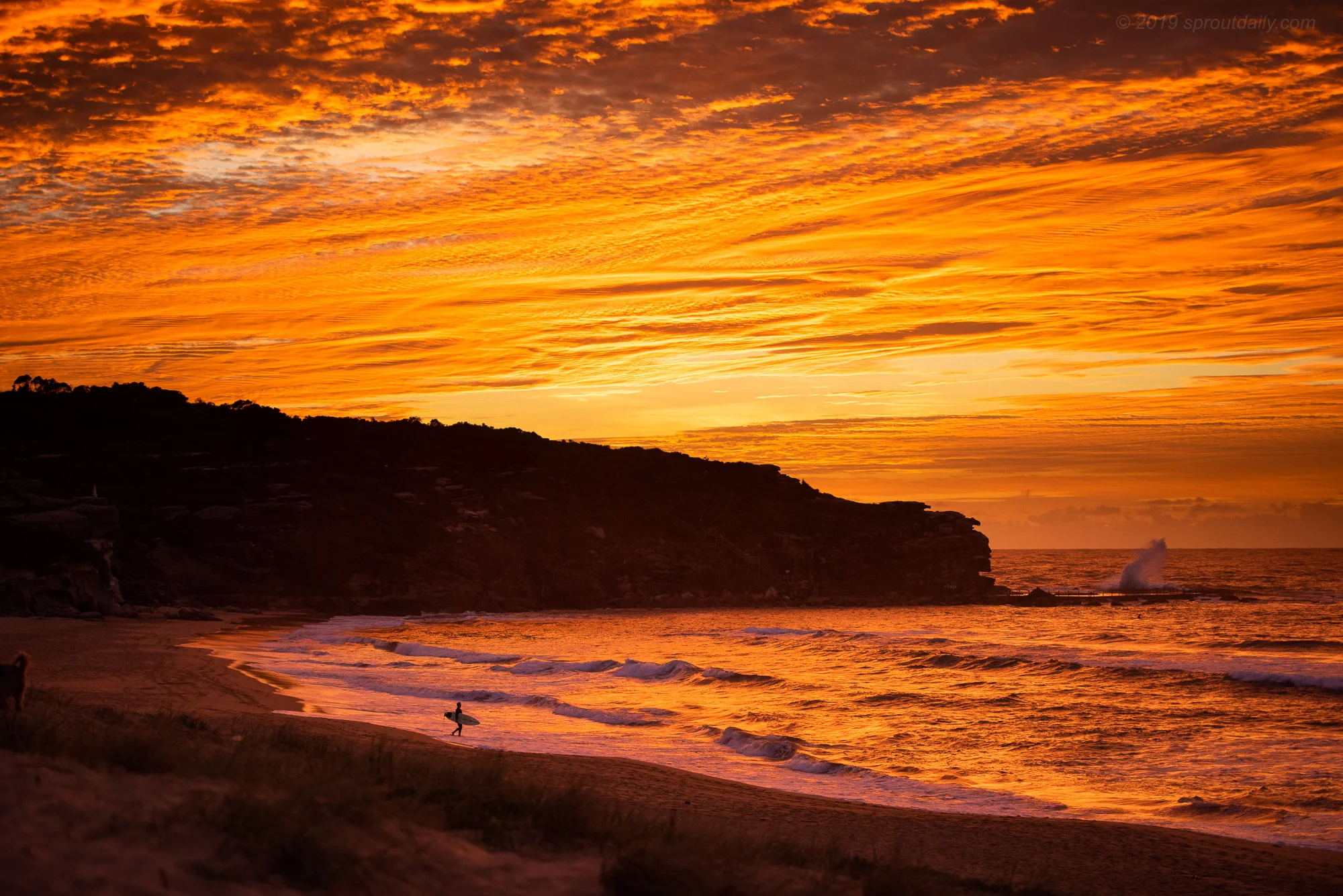 Into The Sunrise