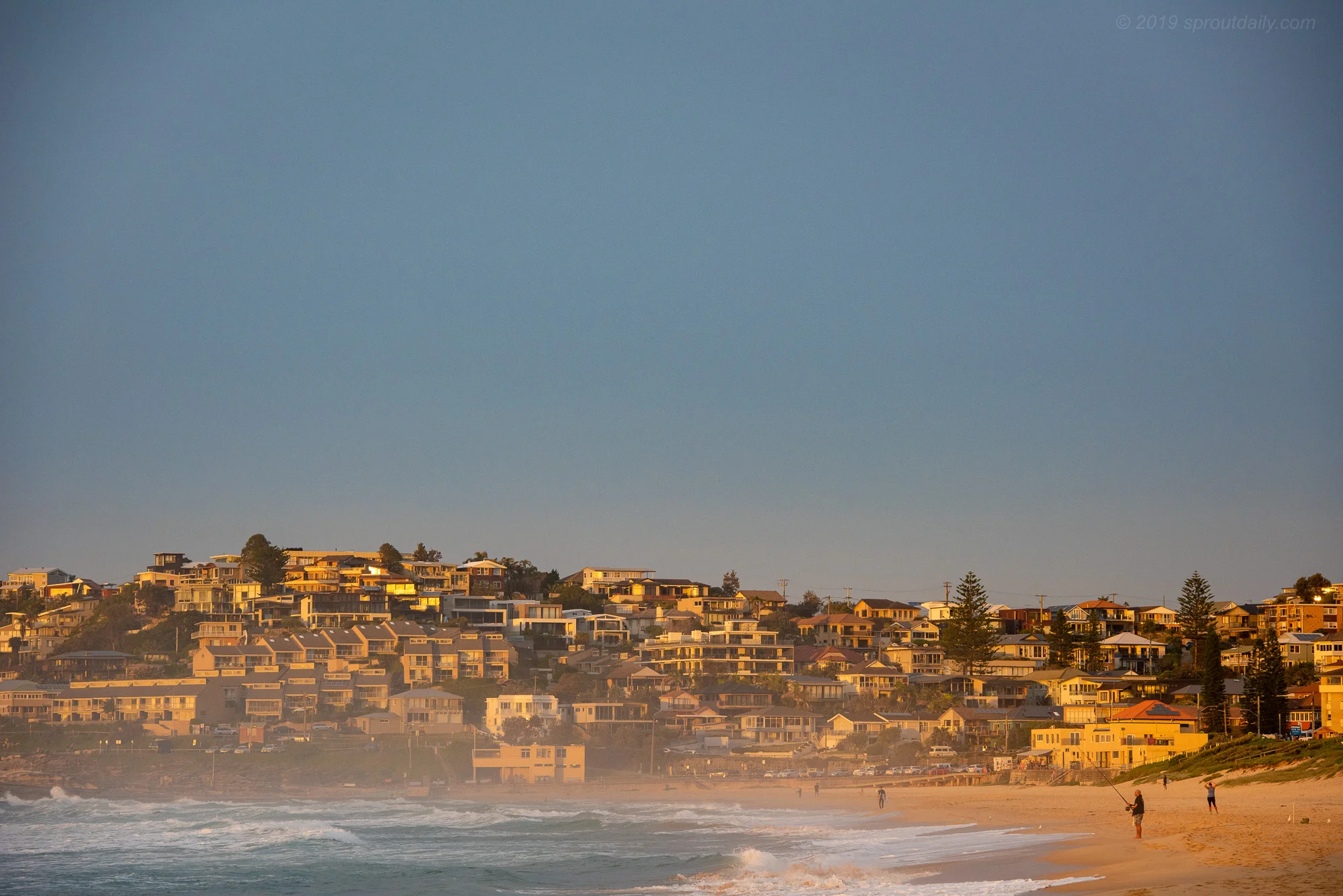 South Curly Light Up