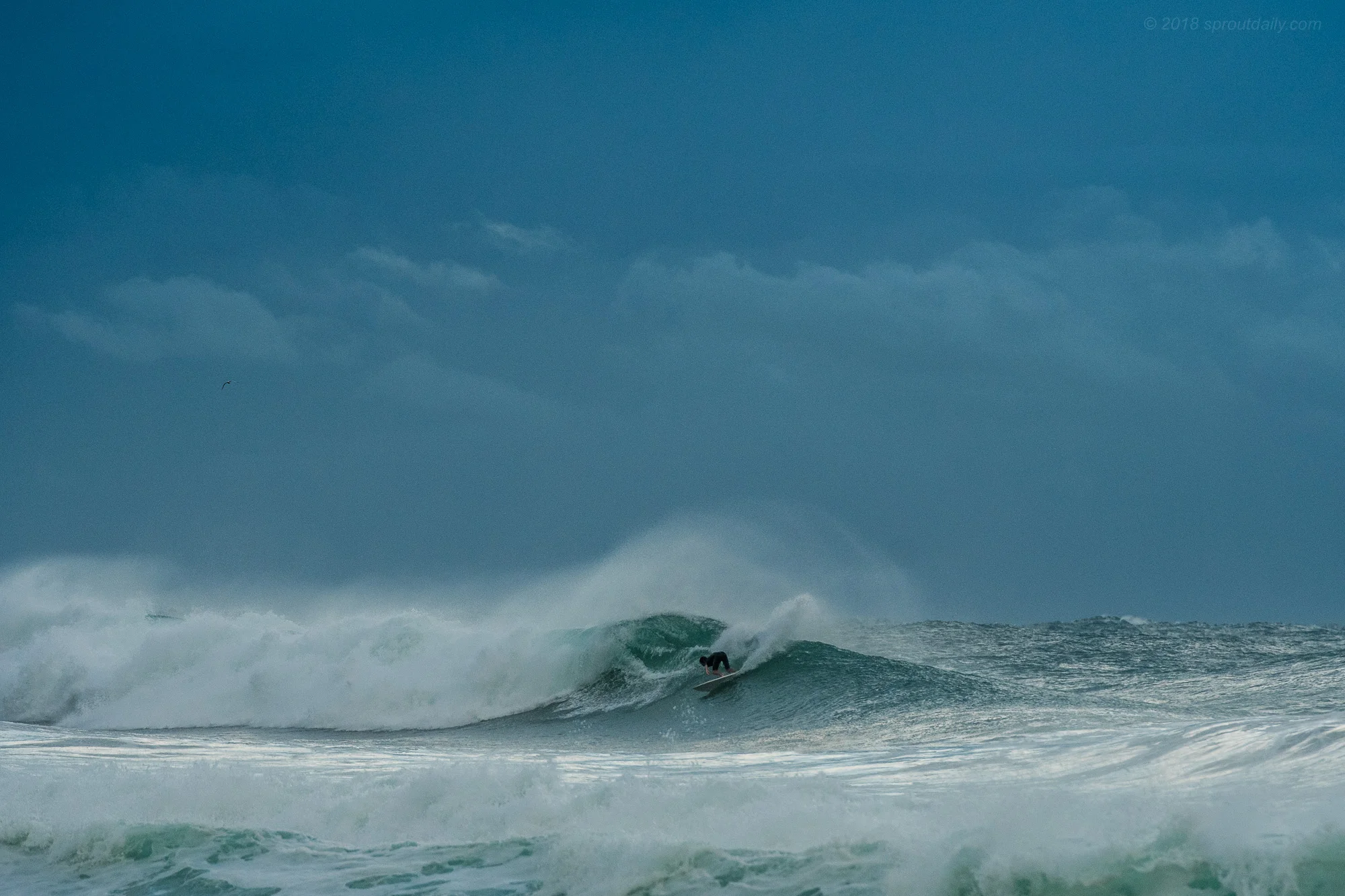 Offshore Hook