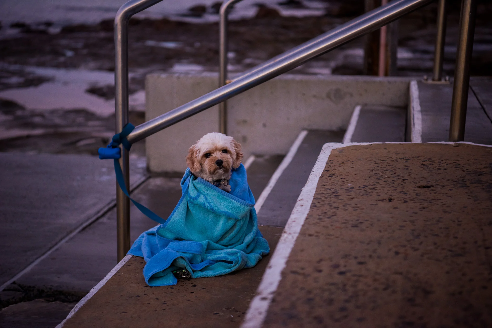 "No swimming today thanks"