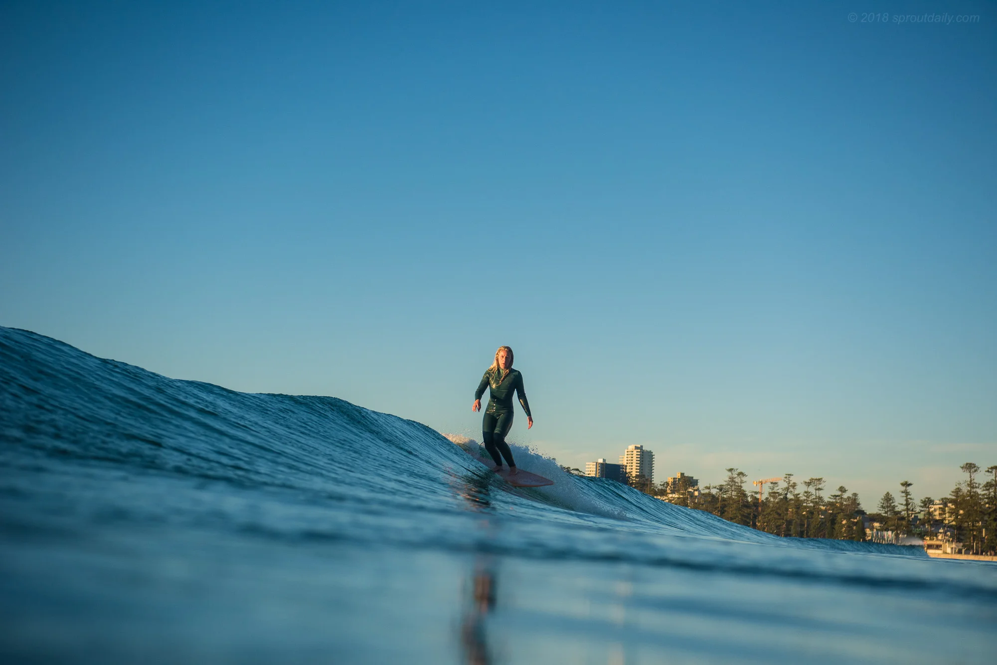 High Tide Runner