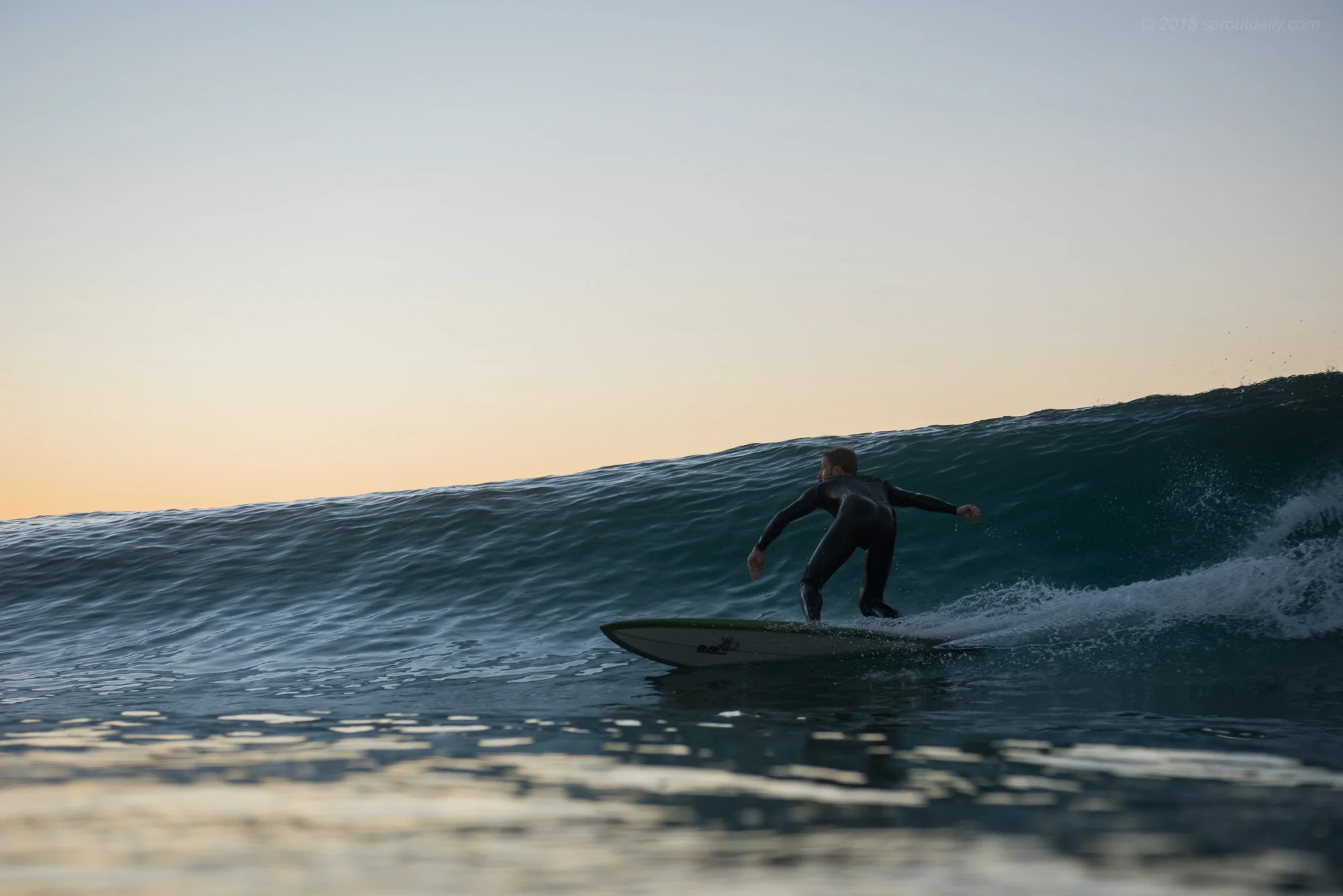 Heath - Smooth Lines on Long Fish