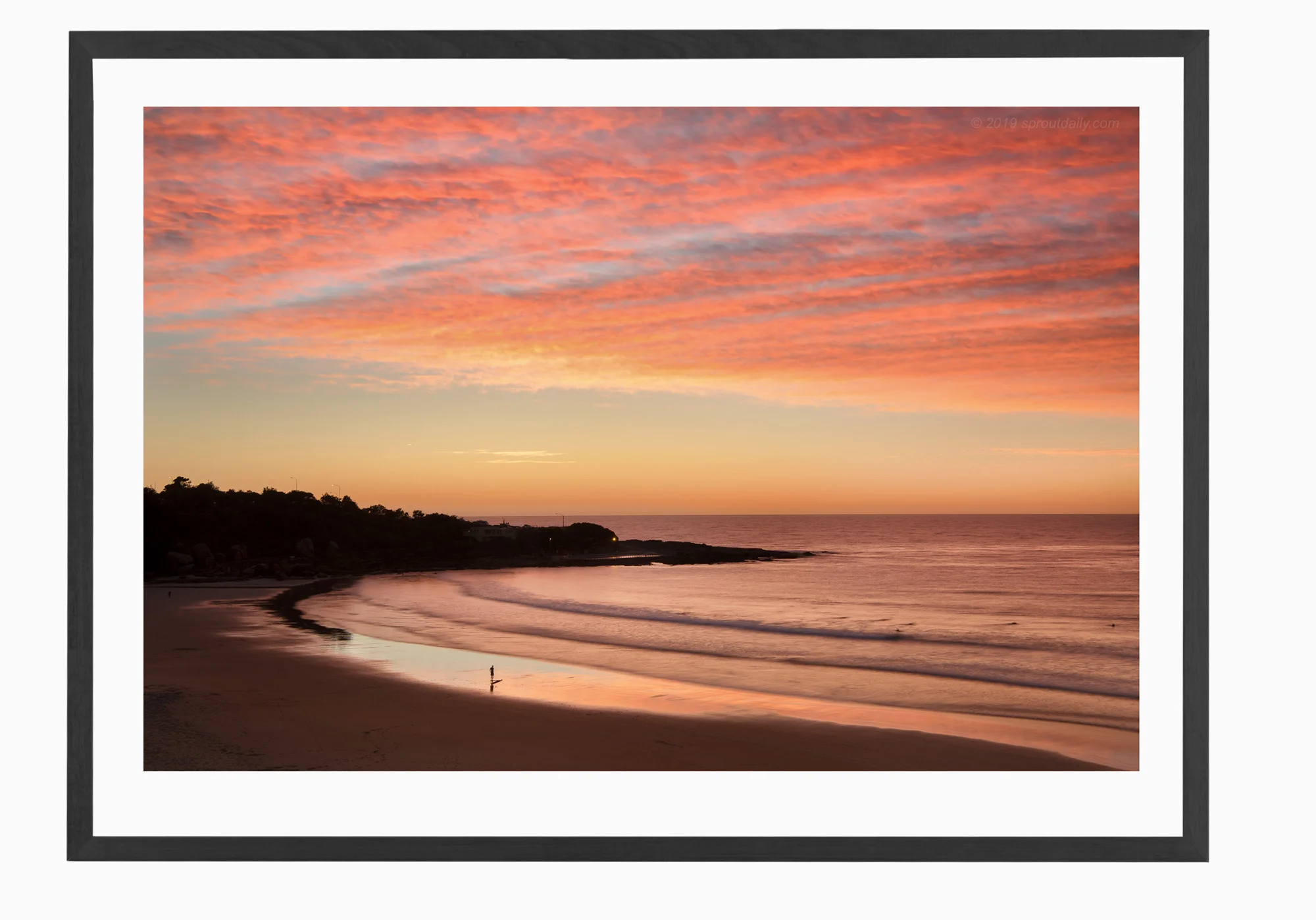mfsprout_20190510_99-Edit-2-Black-Frame.jpg