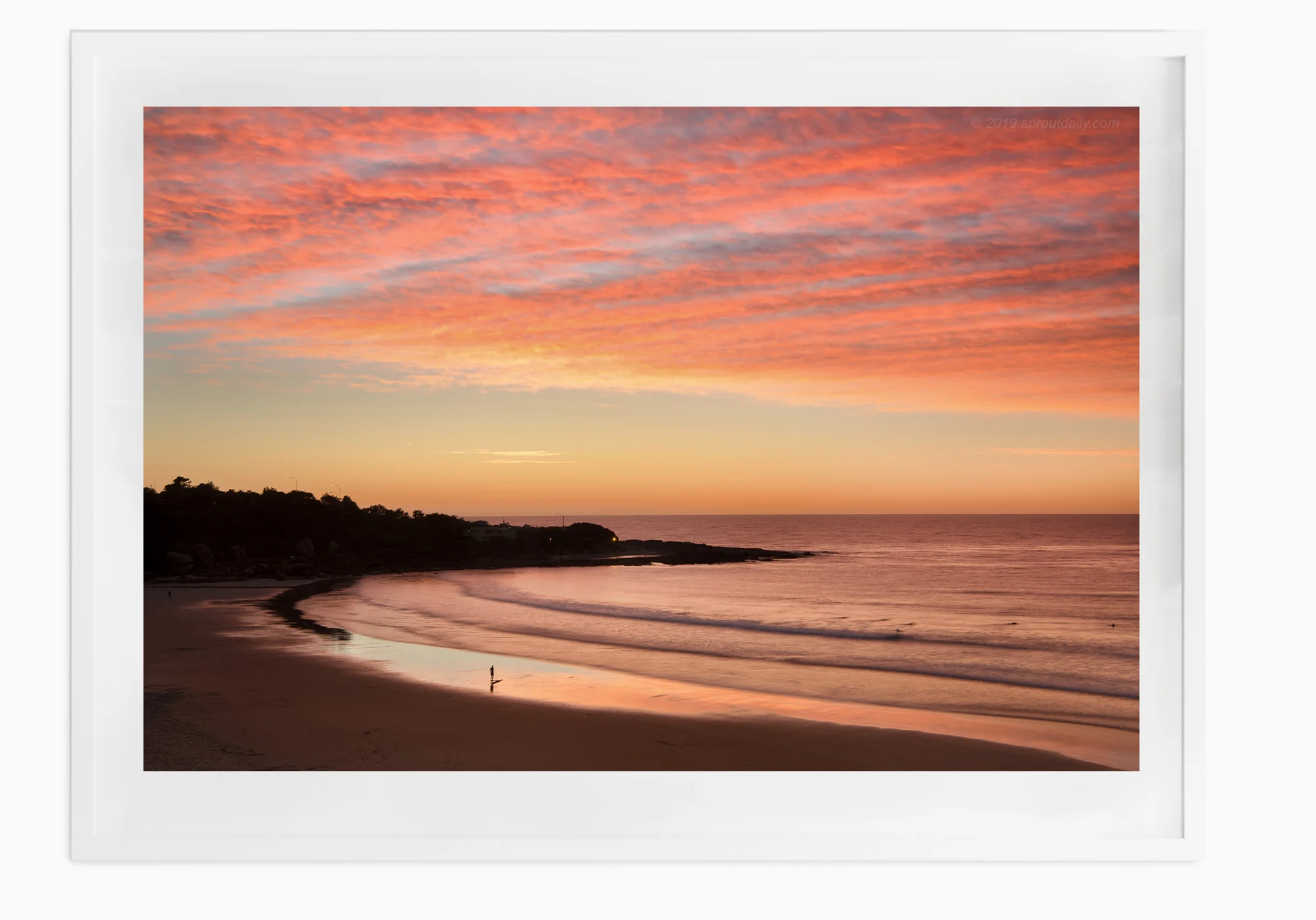 mfsprout_20190510_99-Edit-2-White-Frame.jpg
