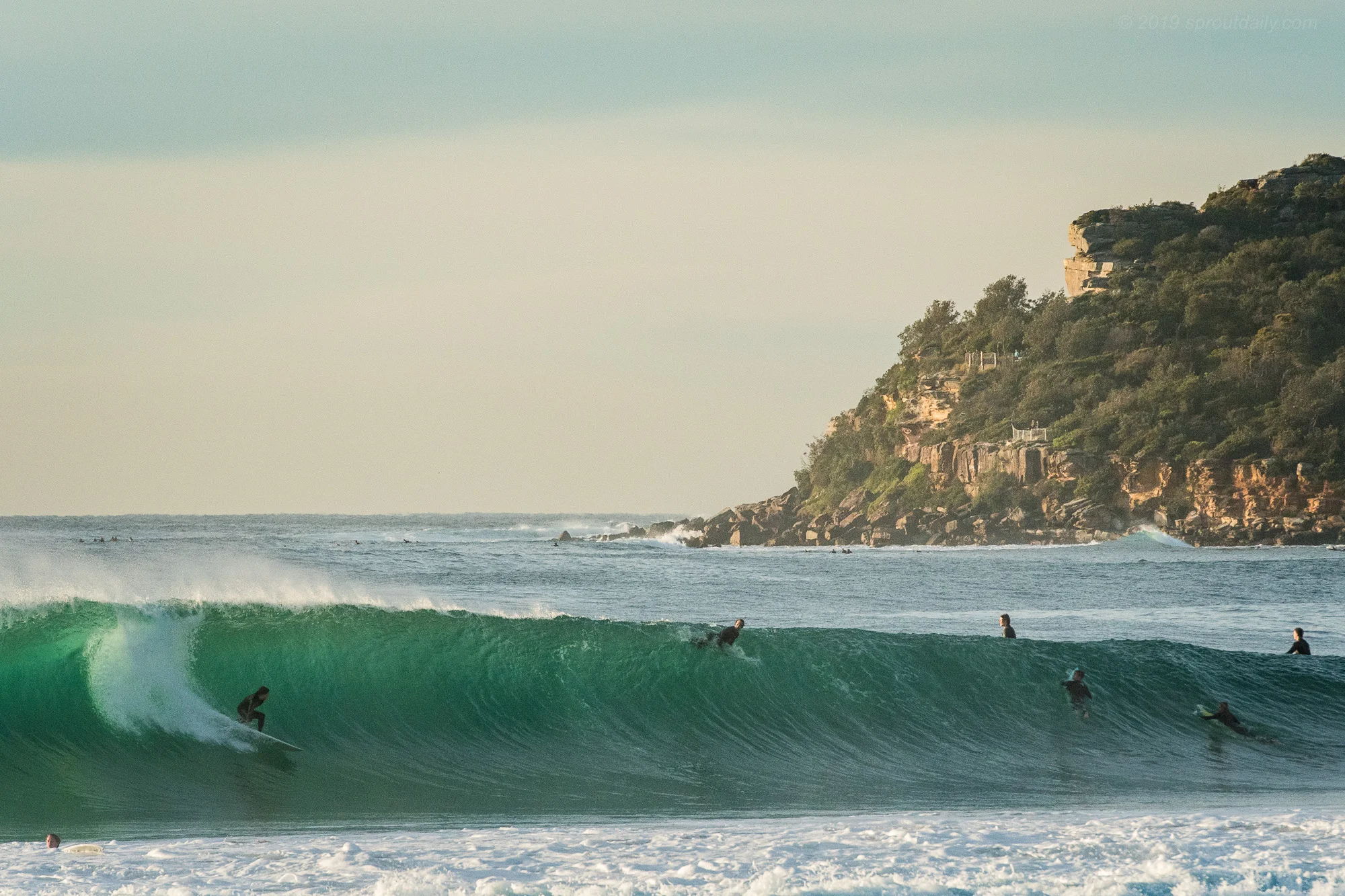 Billy - North Steyne Committment