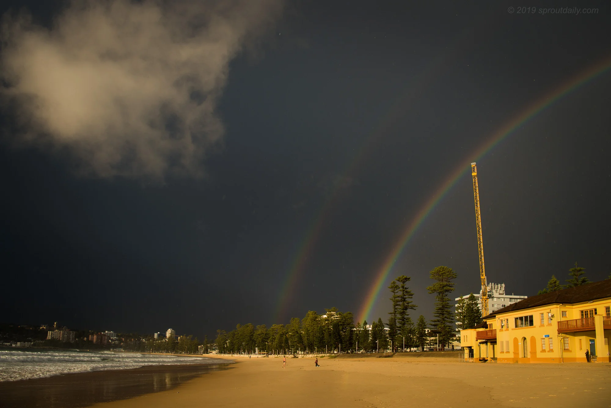 Double Bow